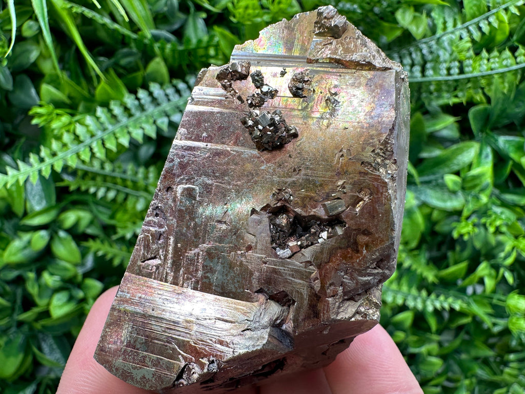 Red Hematite Pyrite Cluster, Borieva Mine, Bulgaria