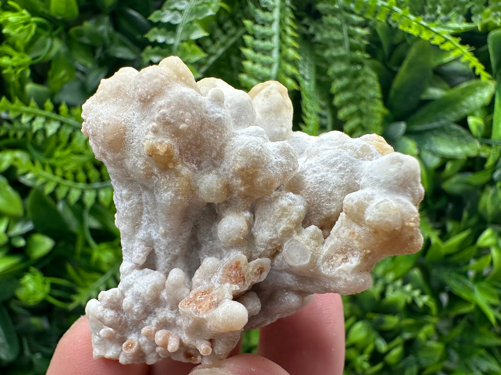 Aragonite Cluster, Natural Mineral Specimen, Bulgaria Crystal