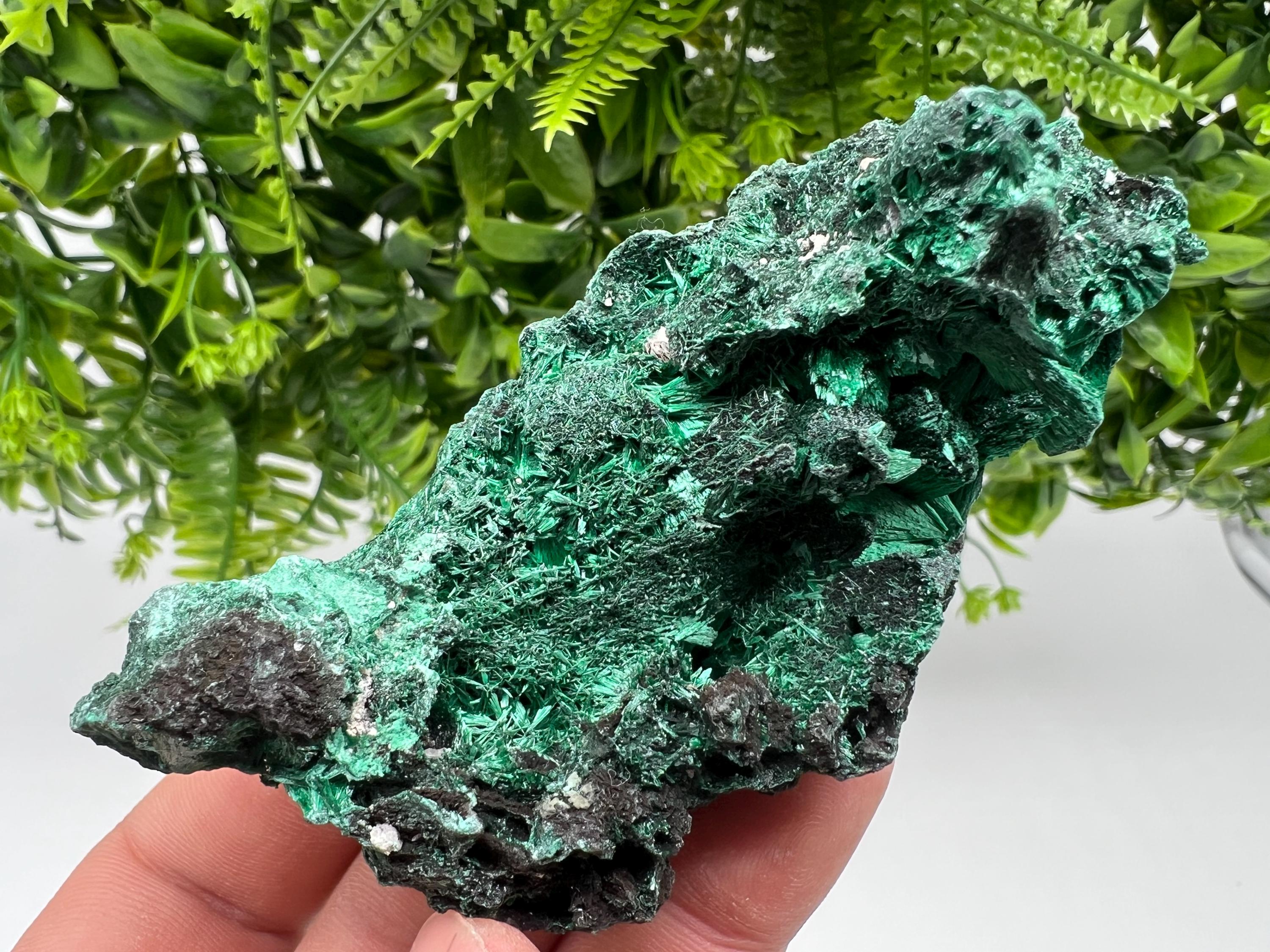 Polished Green Malachite Crystal Specimen from Congo