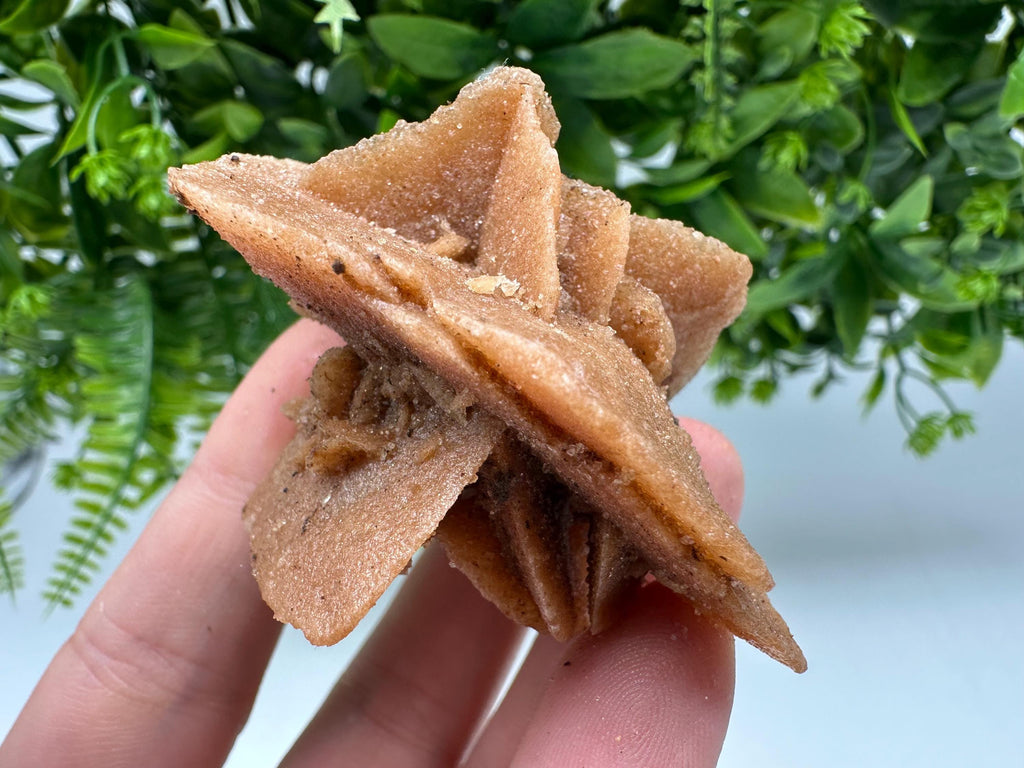 Natural Desert Rose Crystal - Root Chakra Healing Selenite Stone