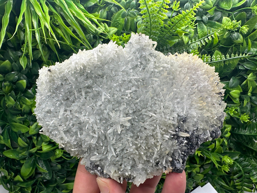 Chlorite Quartz with Hematite: Borieva Mine Crystal Decor (18/9/7 cm)