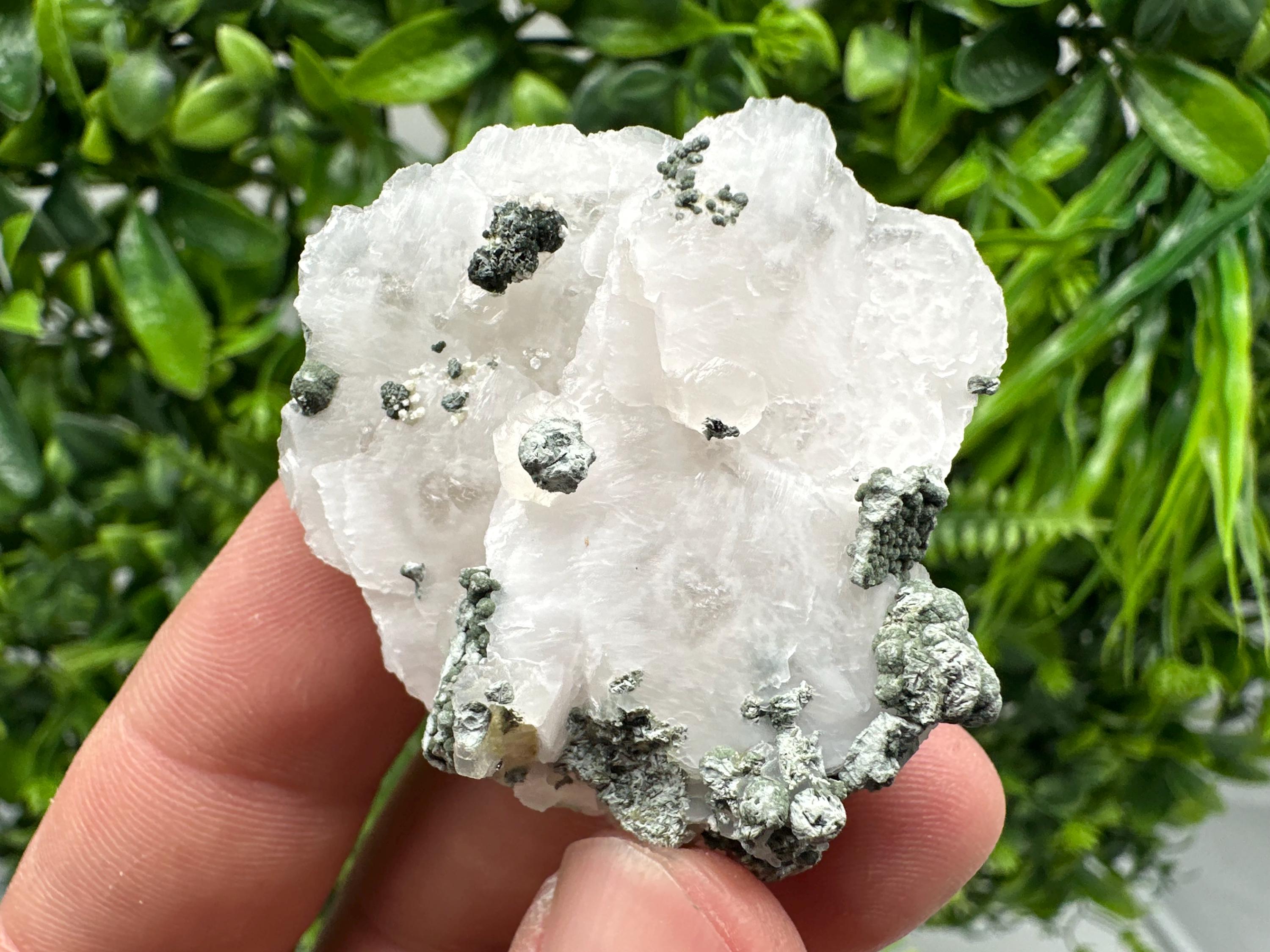 UV Mangano Calcite: Borieva Mine, Bulgaria Crystal Decor