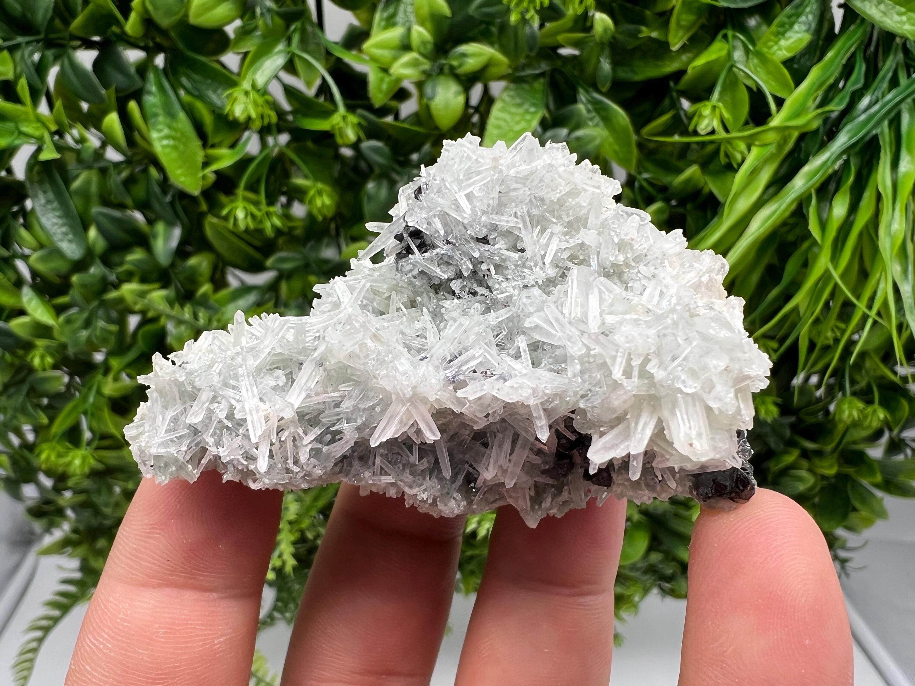 Chlorite Quartz Crystal Specimen: Borieva Mine, Bulgaria