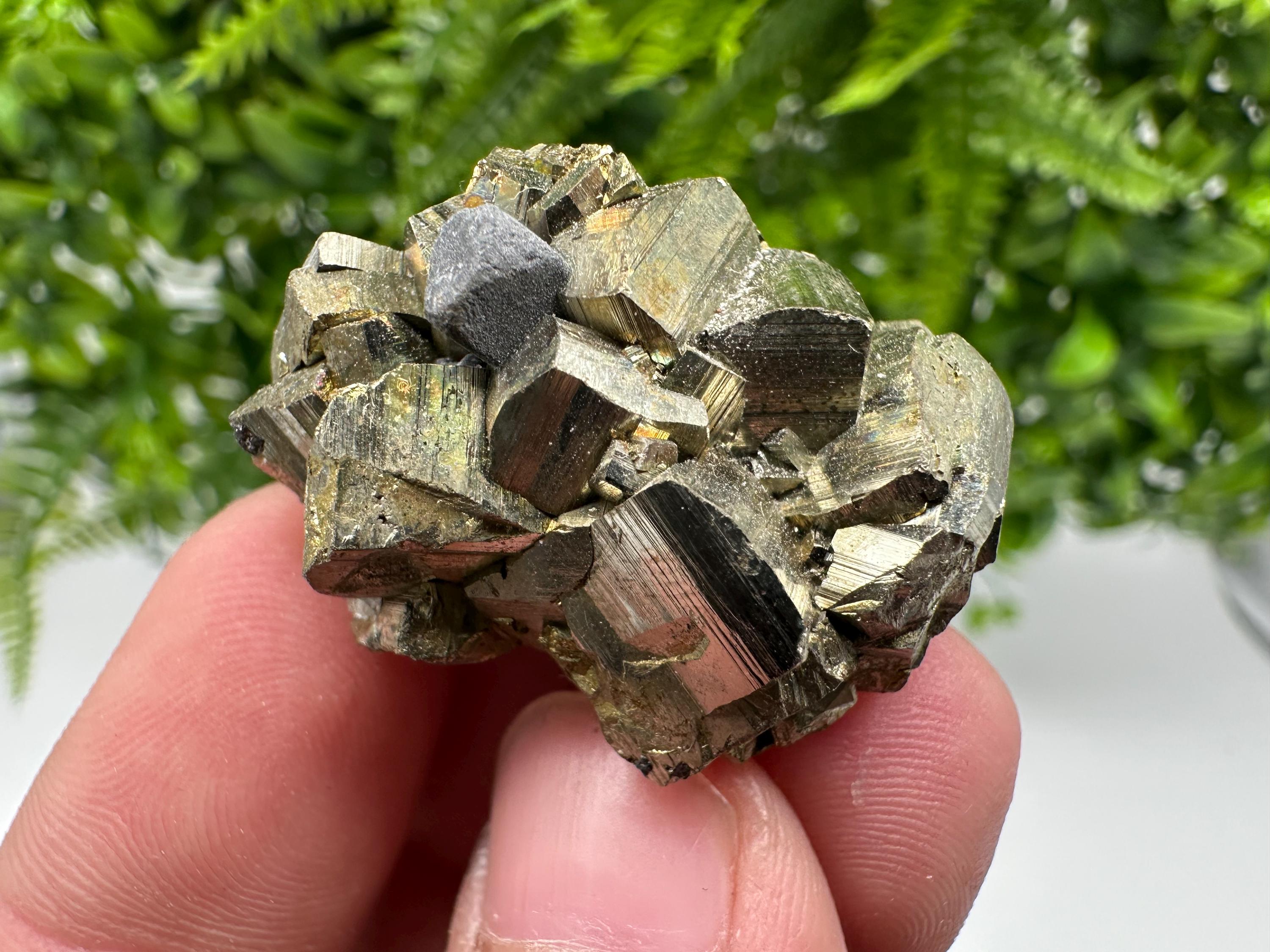 Rare crystallisation Pyrite,Borieva mine,Bulgaria,floating Pyrite,golden Pyrite,Pyrite cluster,mini Collection specimen,Rainbow Pyrite