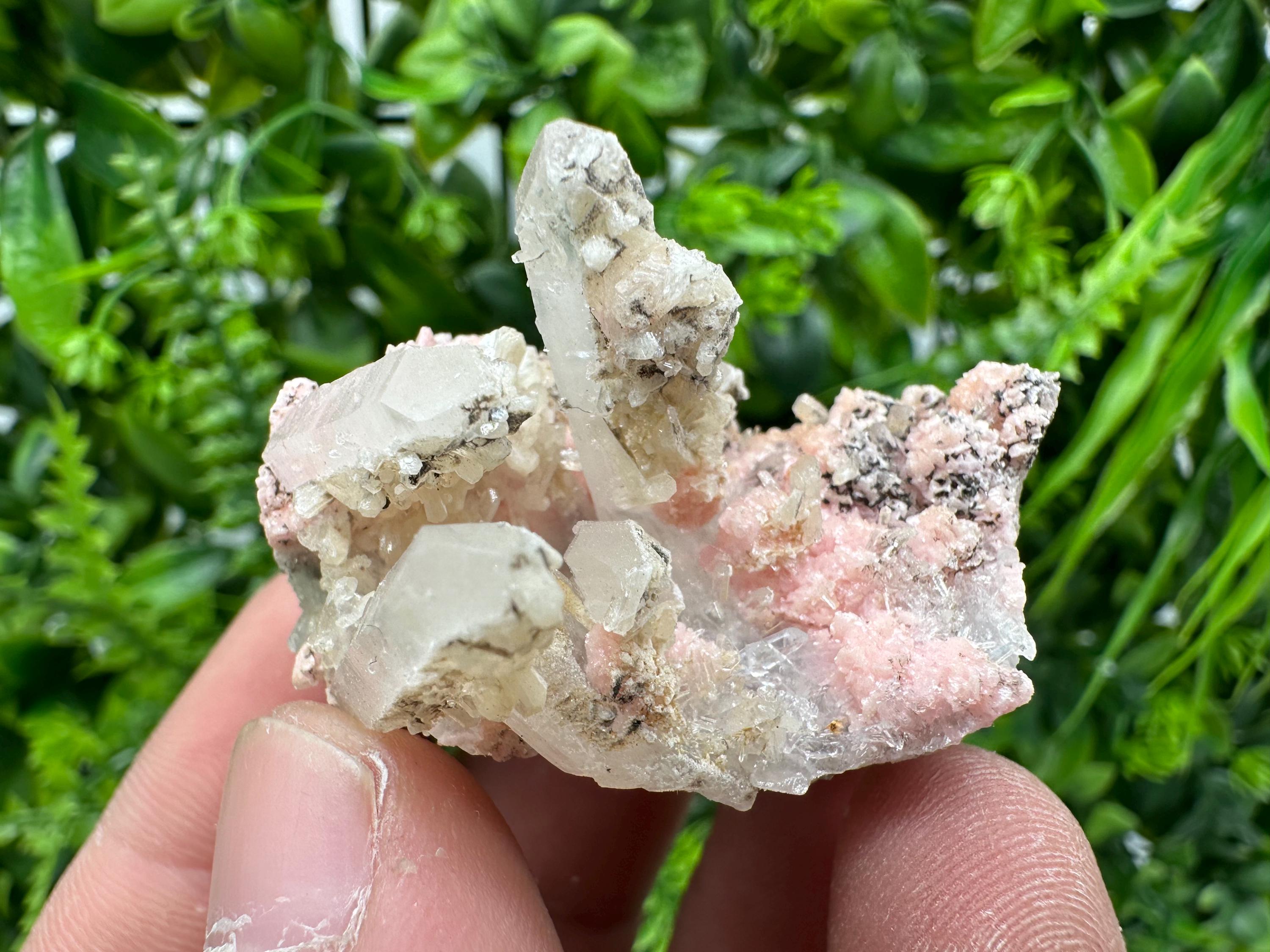 Pink Rhodochrosite Crystal: Starnica Mine, Bulgaria, Home Decor