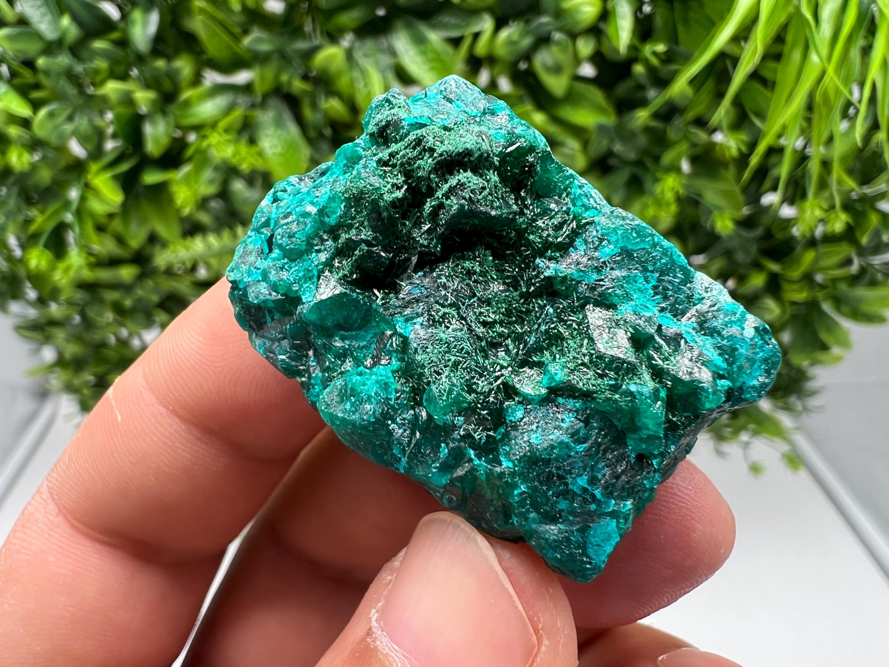 Stunning Green Dioptase from Sanda Hills,Mindouli,Pool Department,Mindouli District,Congo,green Dioptase,Dioptas Crystal,Dioptase collecting