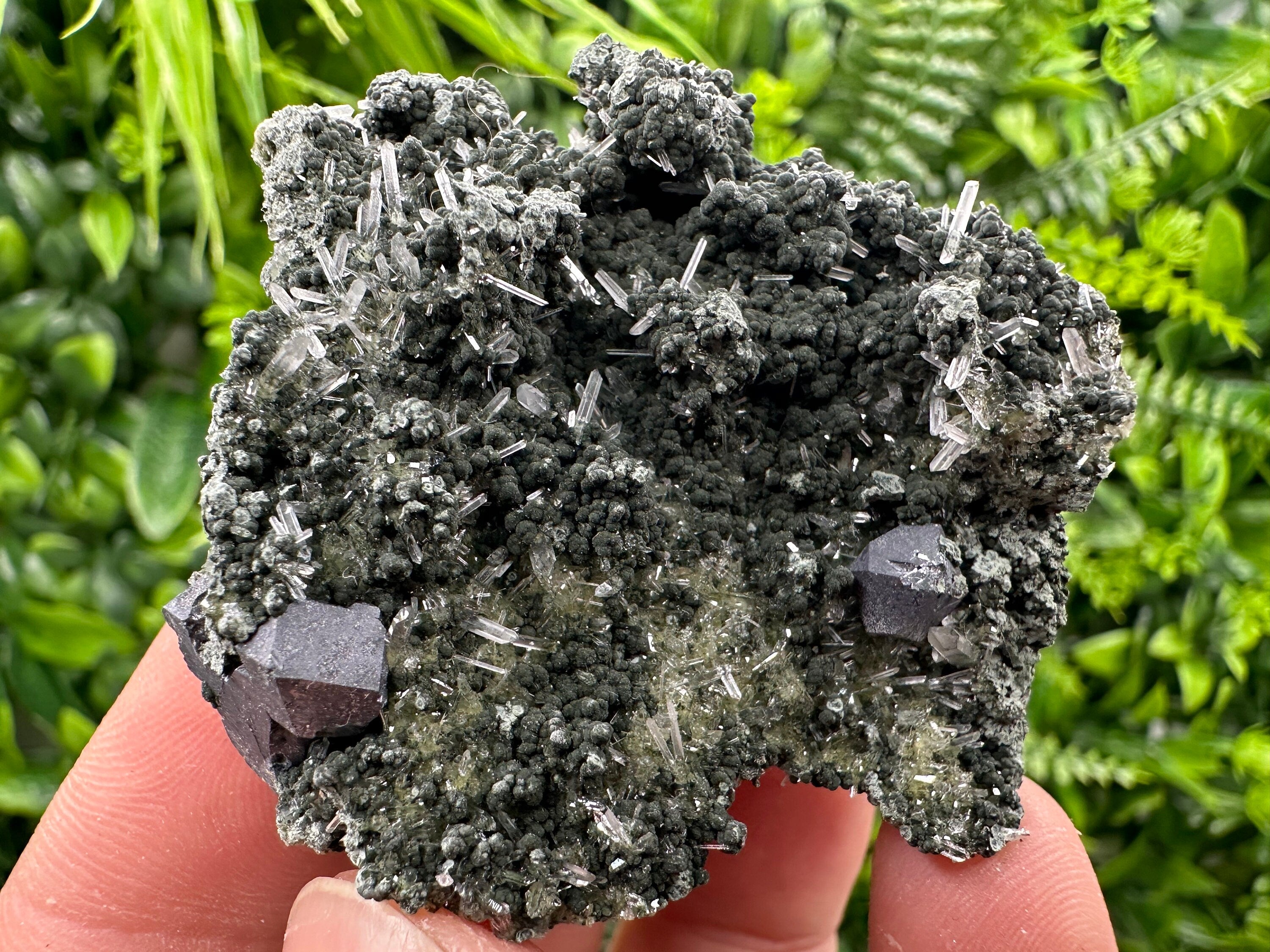 Galena on Green Quartz Crystal, Borieva Mine, Bulgaria