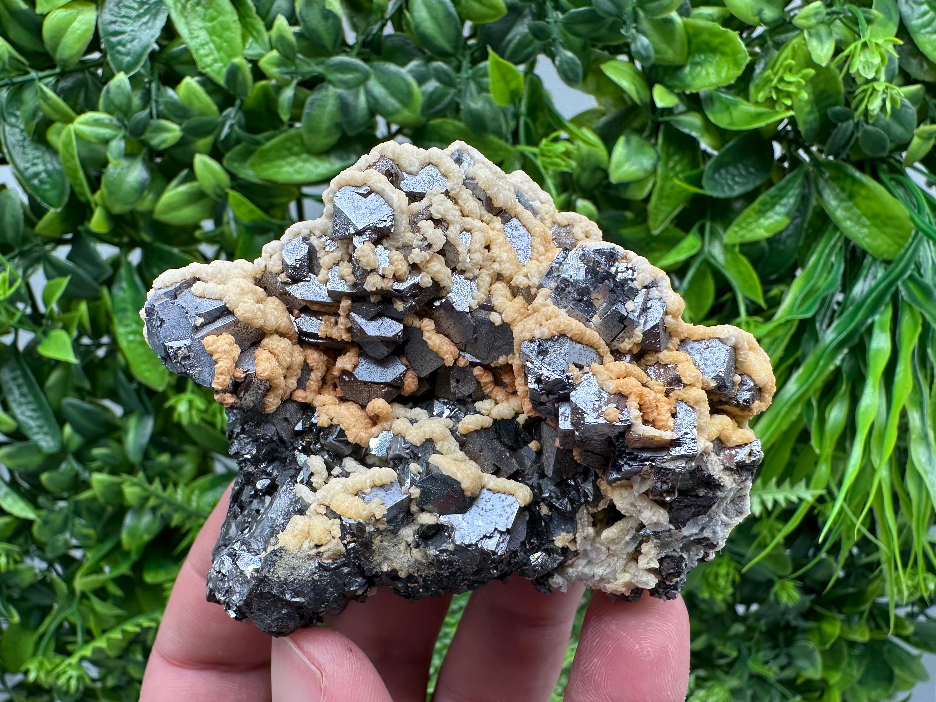 Galena with Dolomite Cluster, Krushev dol Bulgaria