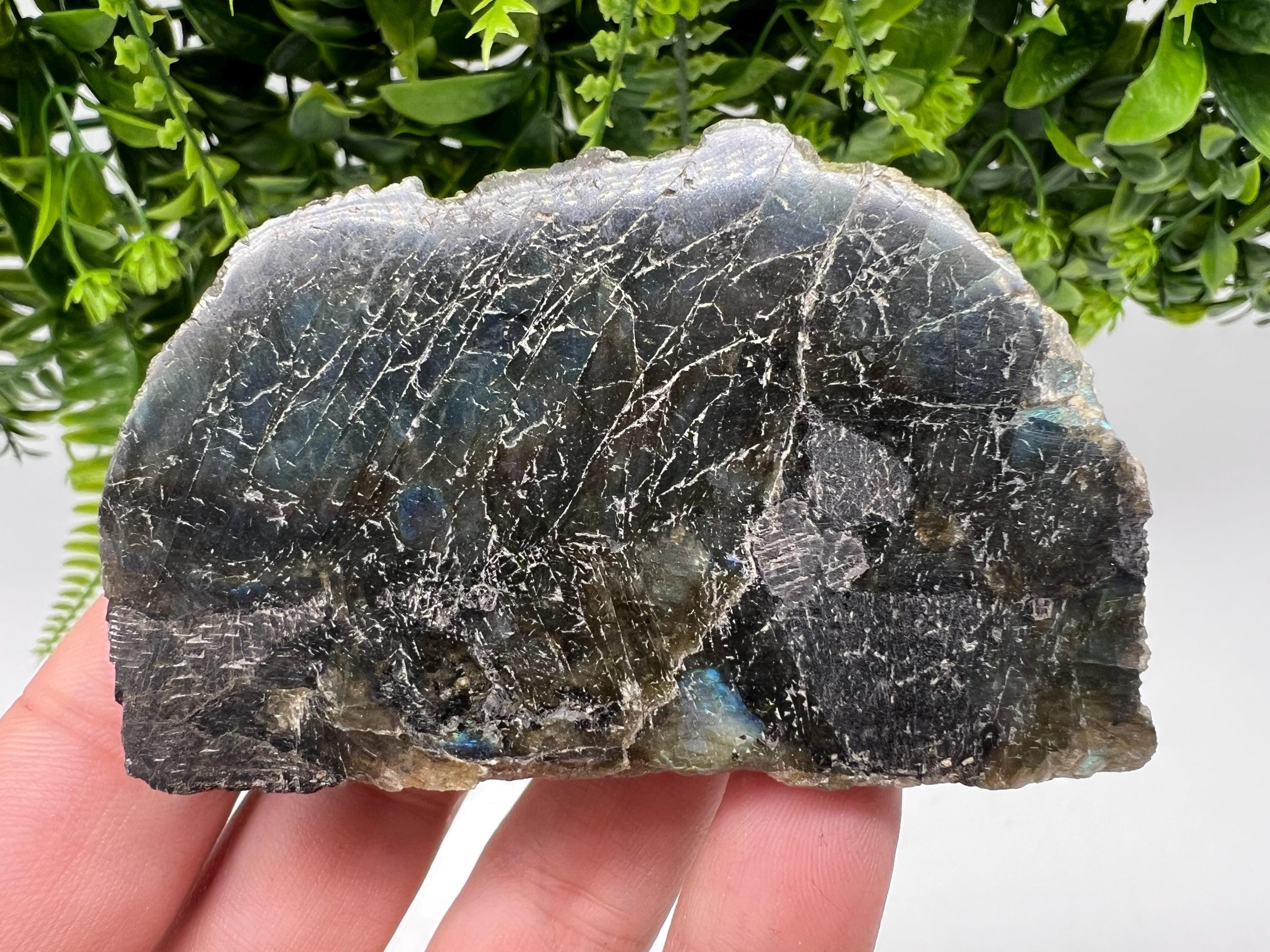 Polished Labradorite Slab: Multifire Crystal Decor - 118 Grams