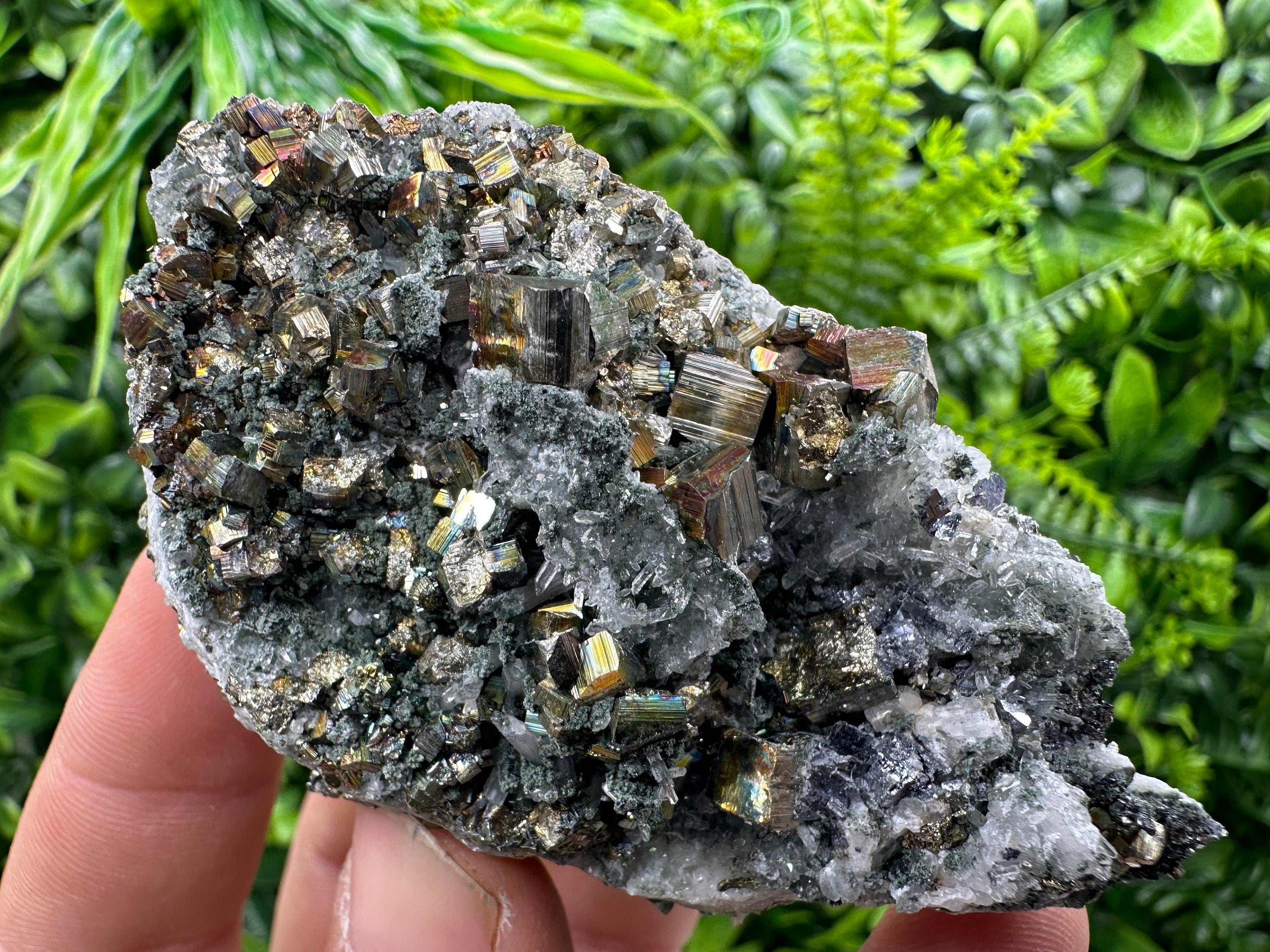 Pyrite on Green Quartz, Borieva Mine Bulgaria, Mineral Specimen