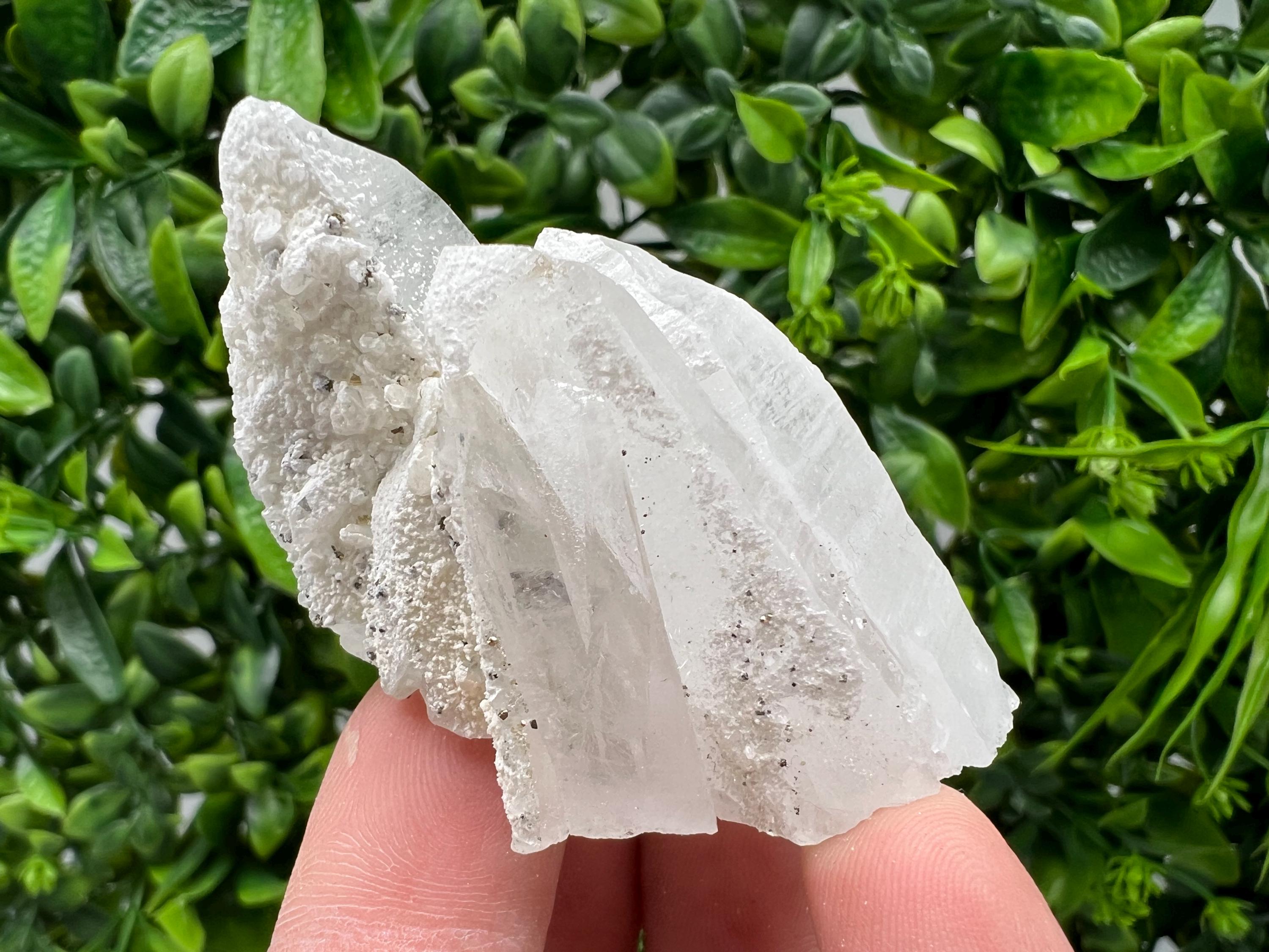 Quartz with Pyrite Mineral Specimen: Krushev dol, Bulgaria