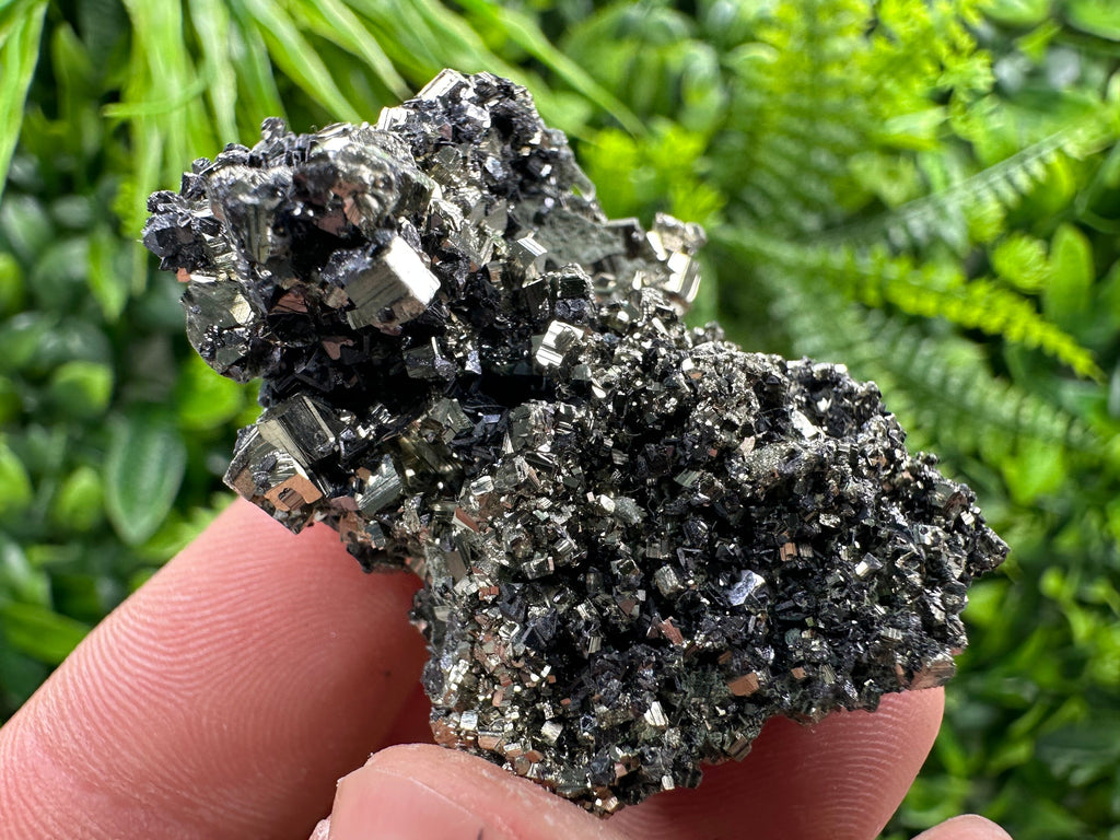 Pyrite on Quartz Needles: Borieva Mine Bulgaria Crystal Decor