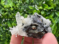 Wonderful Sphalerite Chalcopyrite on  Quartz whit Galena feom 9 th September mine,Bulgaria,natural,collection mineral specimen,gift