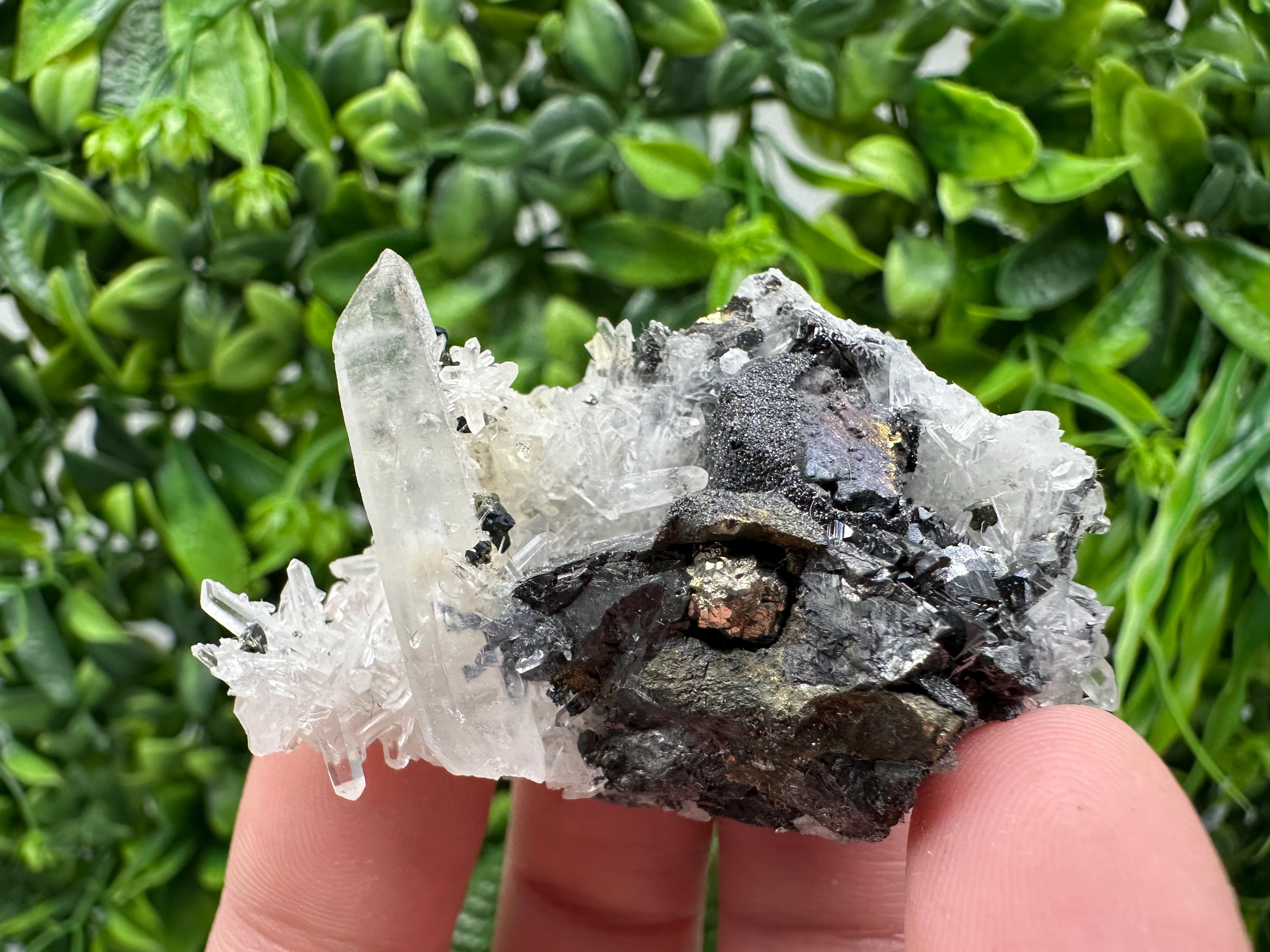Wonderful Sphalerite Chalcopyrite on  Quartz whit Galena feom 9 th September mine,Bulgaria,natural,collection mineral specimen,gift