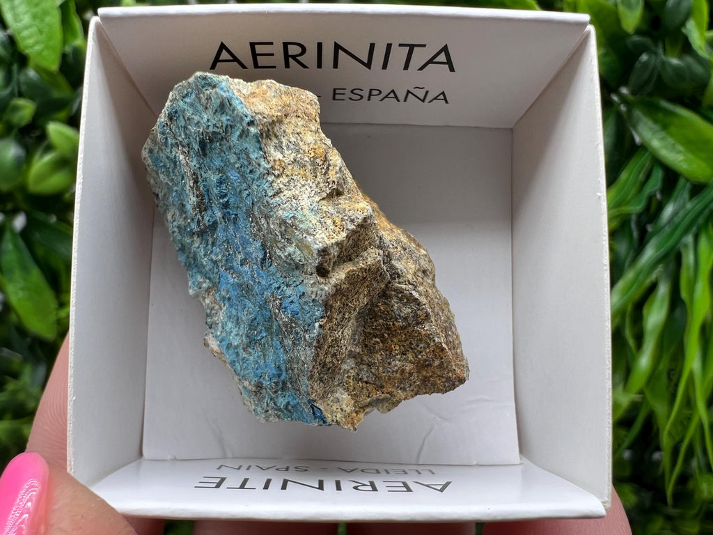 Rare Raw Aerinite Mineral Specimen: Lleida, Spain