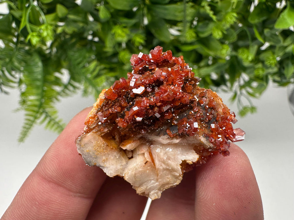 Red Vanadinite on Barite from Marocco,crystal minerals Speciment cluster Vanadinite crystal Vanadinite Geology Vanadinite cluster minerals