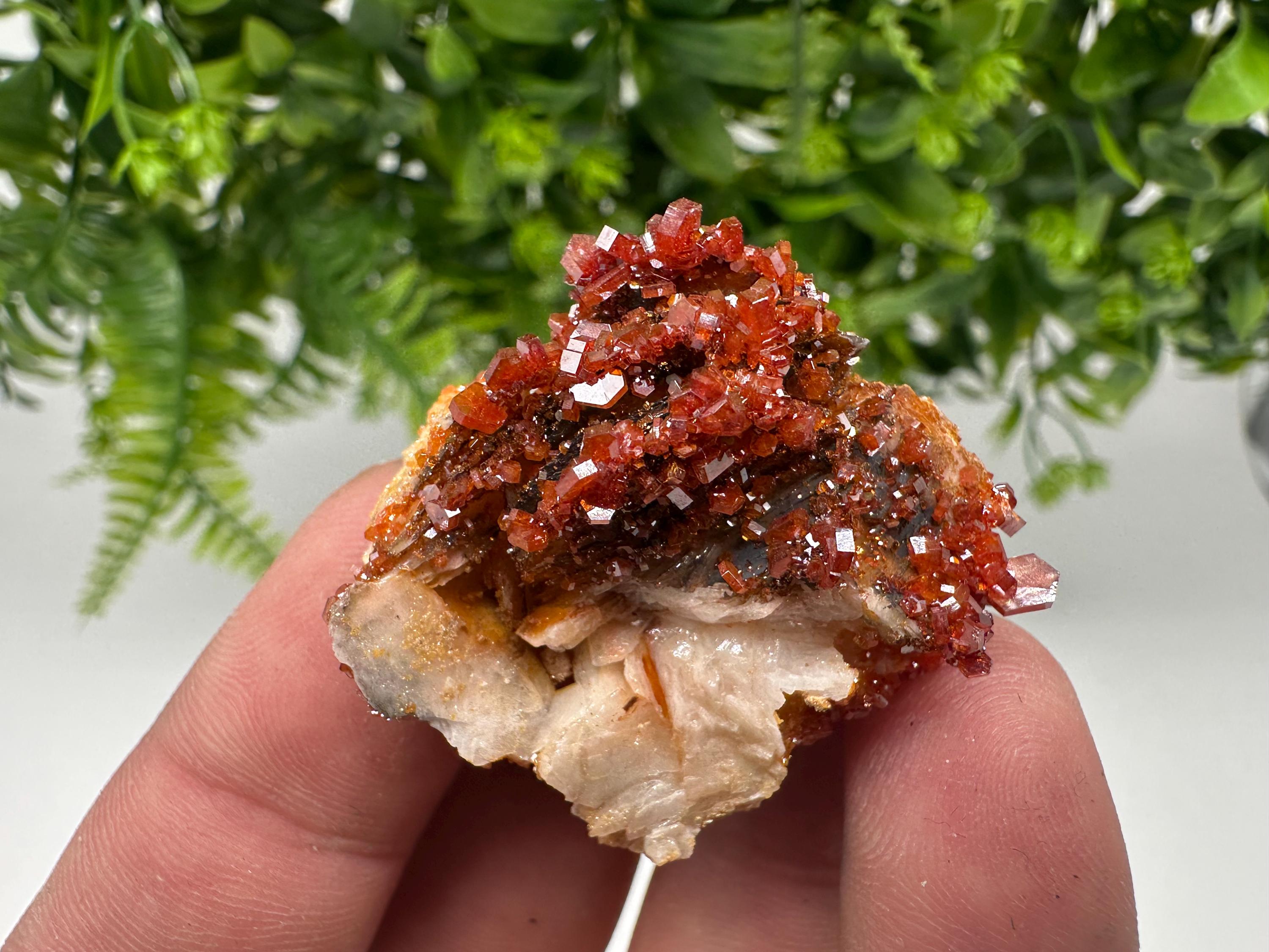 Red Vanadinite on Barite from Marocco,crystal minerals Speciment cluster Vanadinite crystal Vanadinite Geology Vanadinite cluster minerals