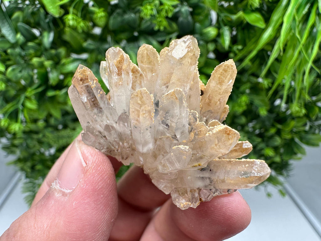 Transparent Quartz whit Siderite 9th September mine Bulgaria natural minerals souvenir crystal stone gift minerals collection rock