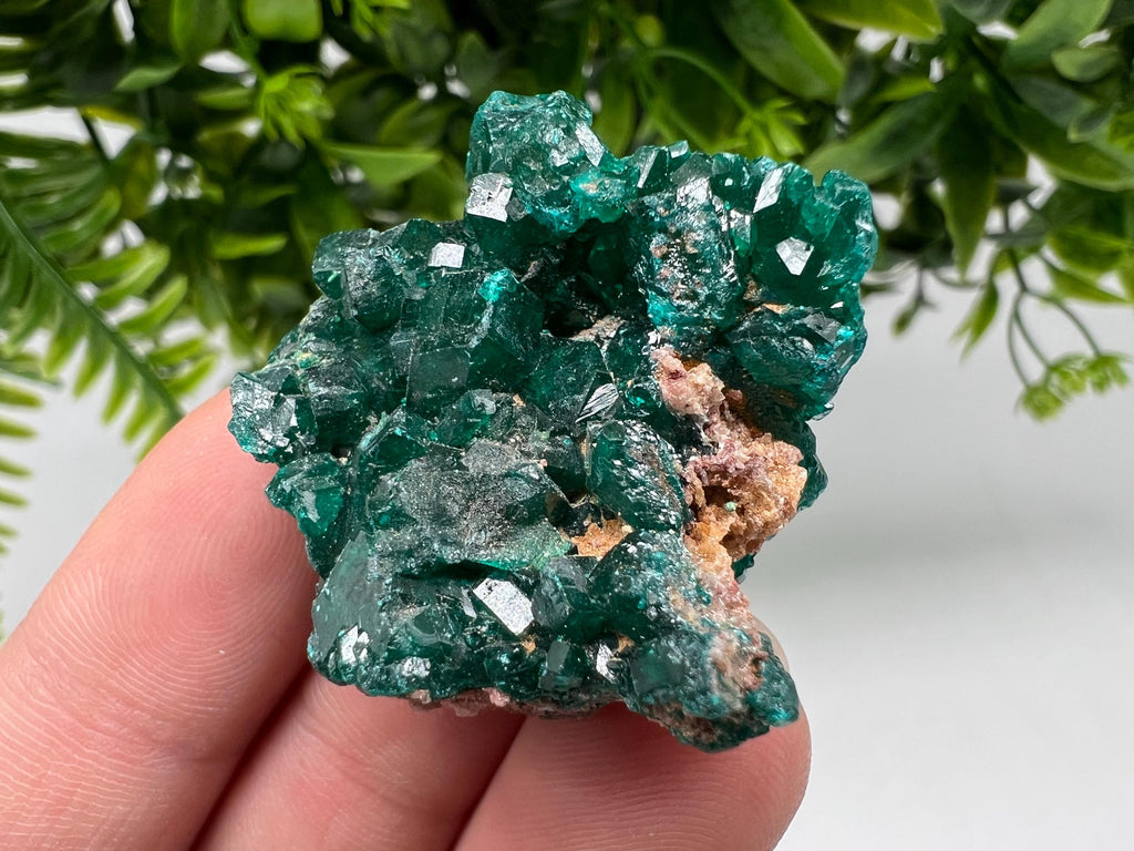Stunning Green Dioptase from Sanda Hills,Mindouli,Pool Department,Mindouli District,Congo,green Dioptase,Dioptas Crystal,Dioptase collecting