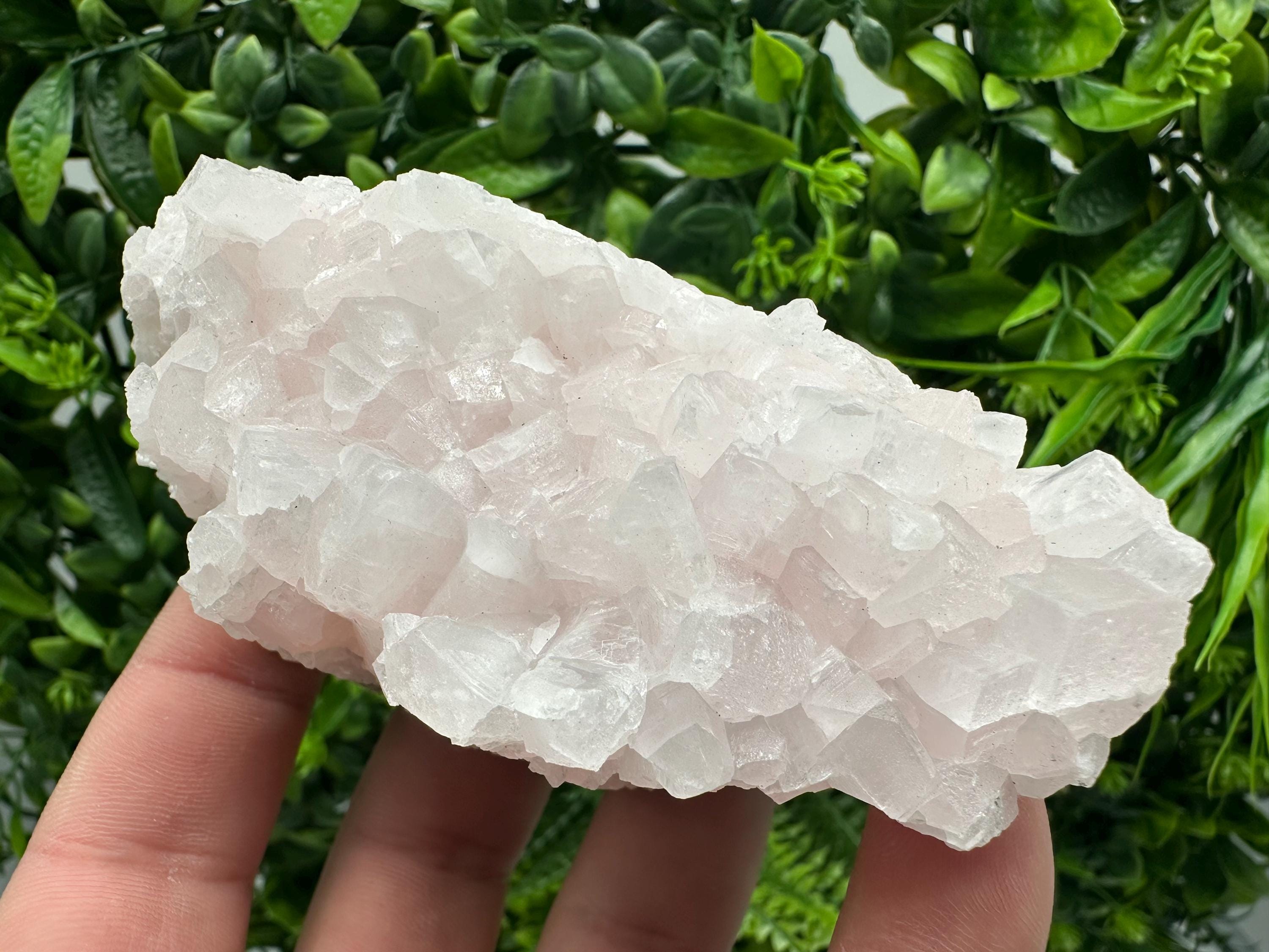 UV Reactive Mangano Calcite Crystal: Androvo Mine, Bulgaria