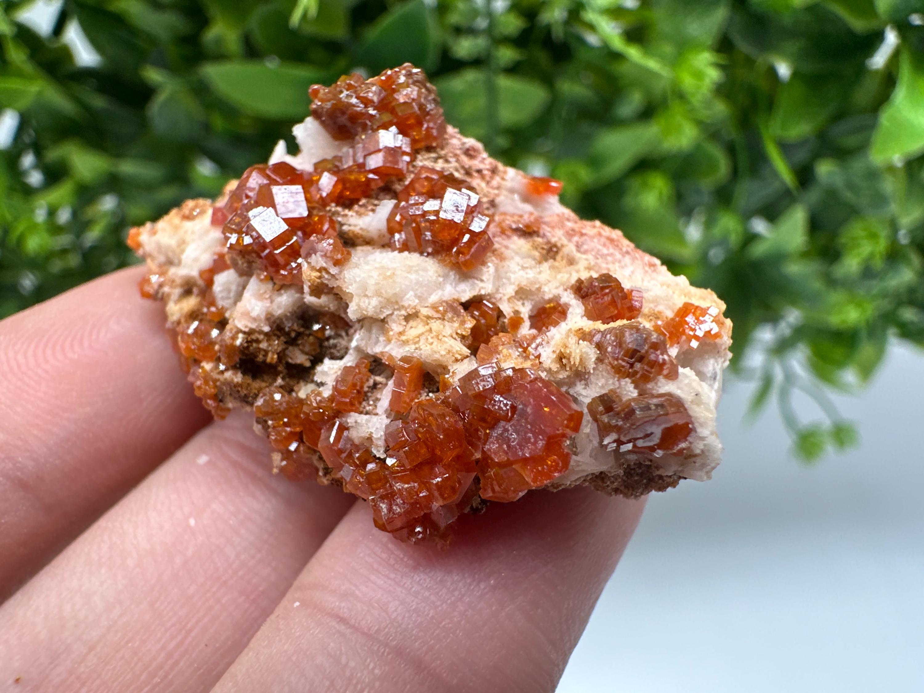 Red Vanadinite on Barite from Marocco,crystal minerals Speciment cluster Vanadinite crystal Vanadinite Geology Vanadinite cluster minerals