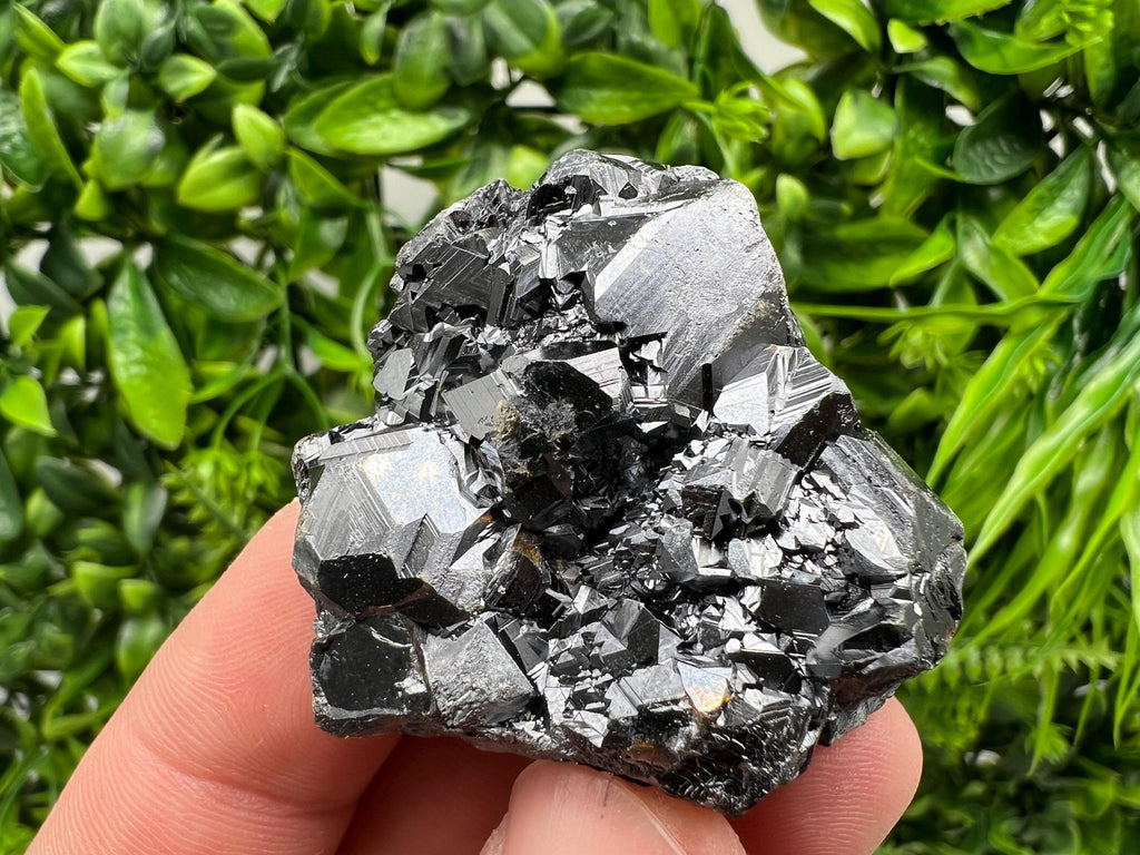 Sphalerite with Chlorite: Borieva Mine, Bulgaria