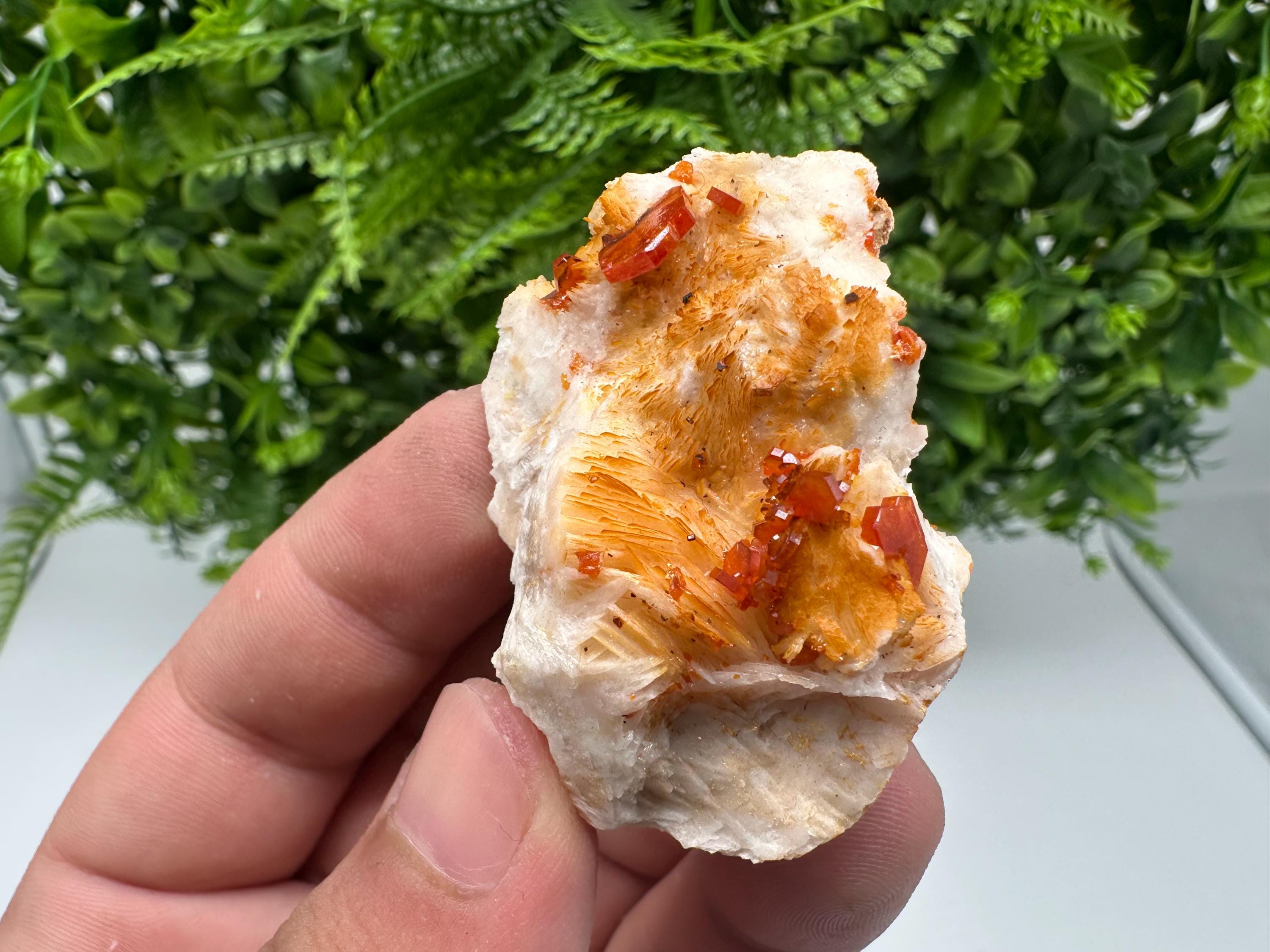 Red Vanadinite on Barite from Marocco,crystal minerals Speciment cluster Vanadinite crystal Vanadinite Geology Vanadinite cluster minerals