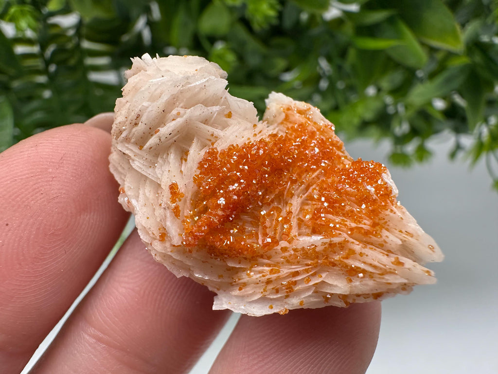 Red Vanadinite on Barite, Moroccan Crystal Specimen