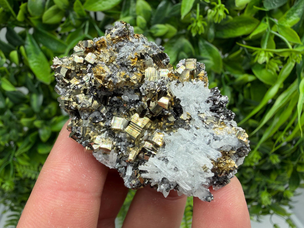 Pyrite Sphalerite Quartz  Mineral Specimen, Krushev dol Mine