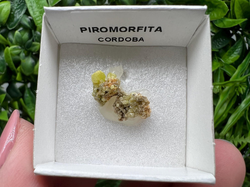 Pyromorphite Stone / Pyromorphite on Matrix / Pyromorphite Crystal / Raw Crystal / Pyromorphite Cluster / Rough Pyromorphite / Pyromorphite