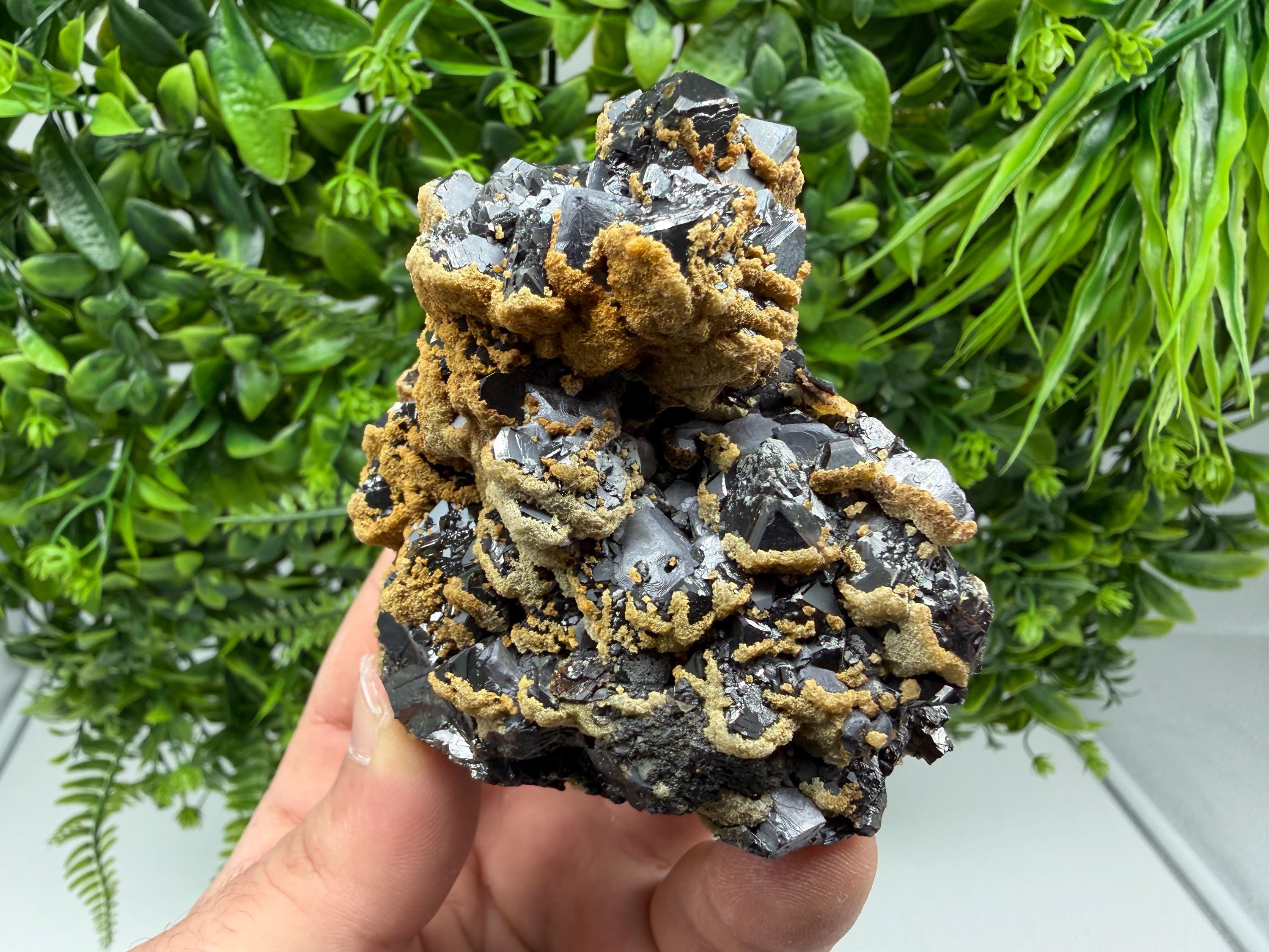 Skeletal Galena with Dolomite: Krushev Dol Mine, Bulgaria