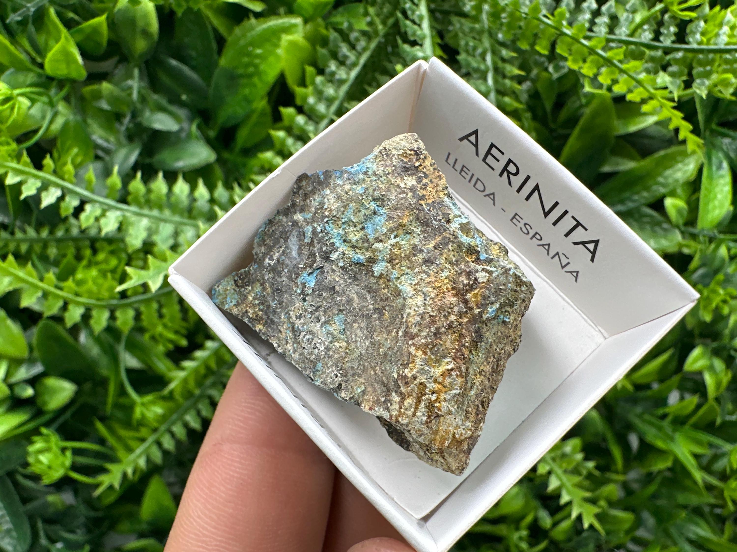 Rare Raw Aerinite Mineral Specimen, Lleida Spain Crystal