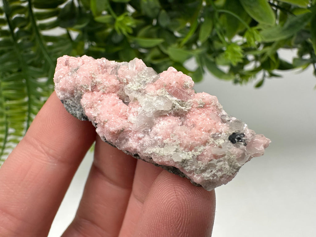 Pink Rhodochrosite Crystal: Starnica Mine, Bulgaria, Home Decor