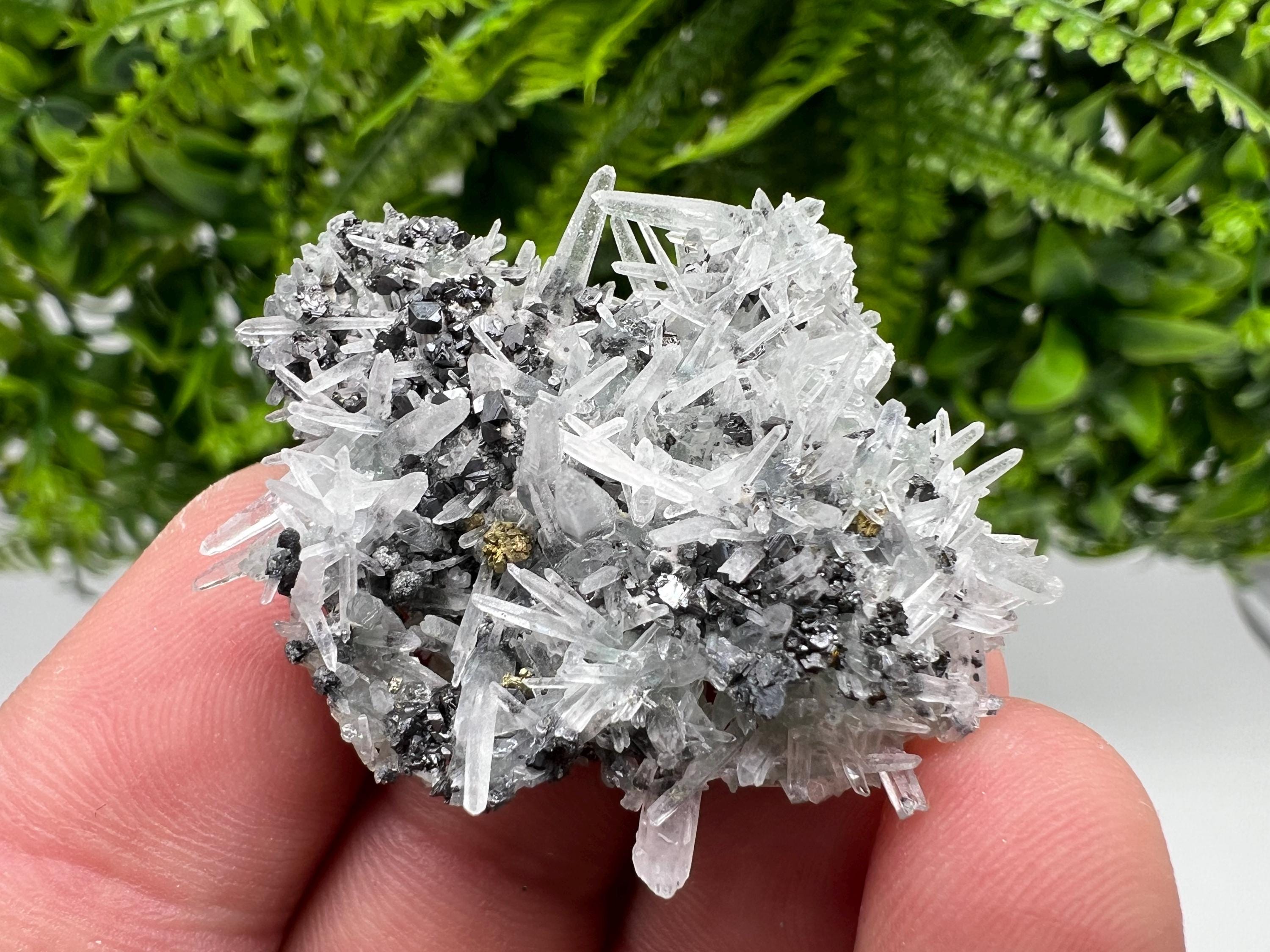 Sphalerite Chalcopyrite on Green Quartz with Hematite, Bulgaria Mineral Specimen