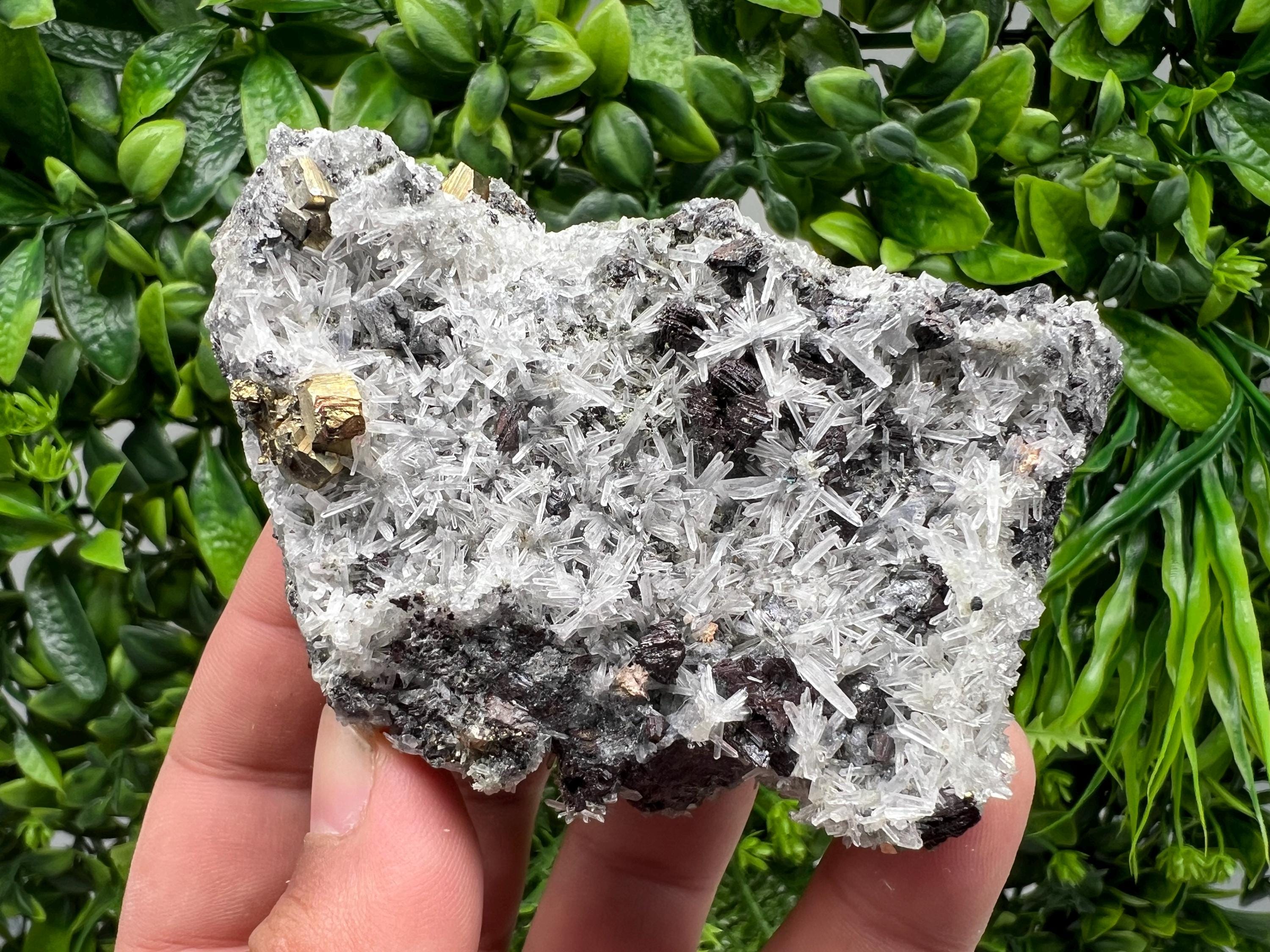 Rainbow Pyrite on Quartz with Oxide, Borieva Bulgaria