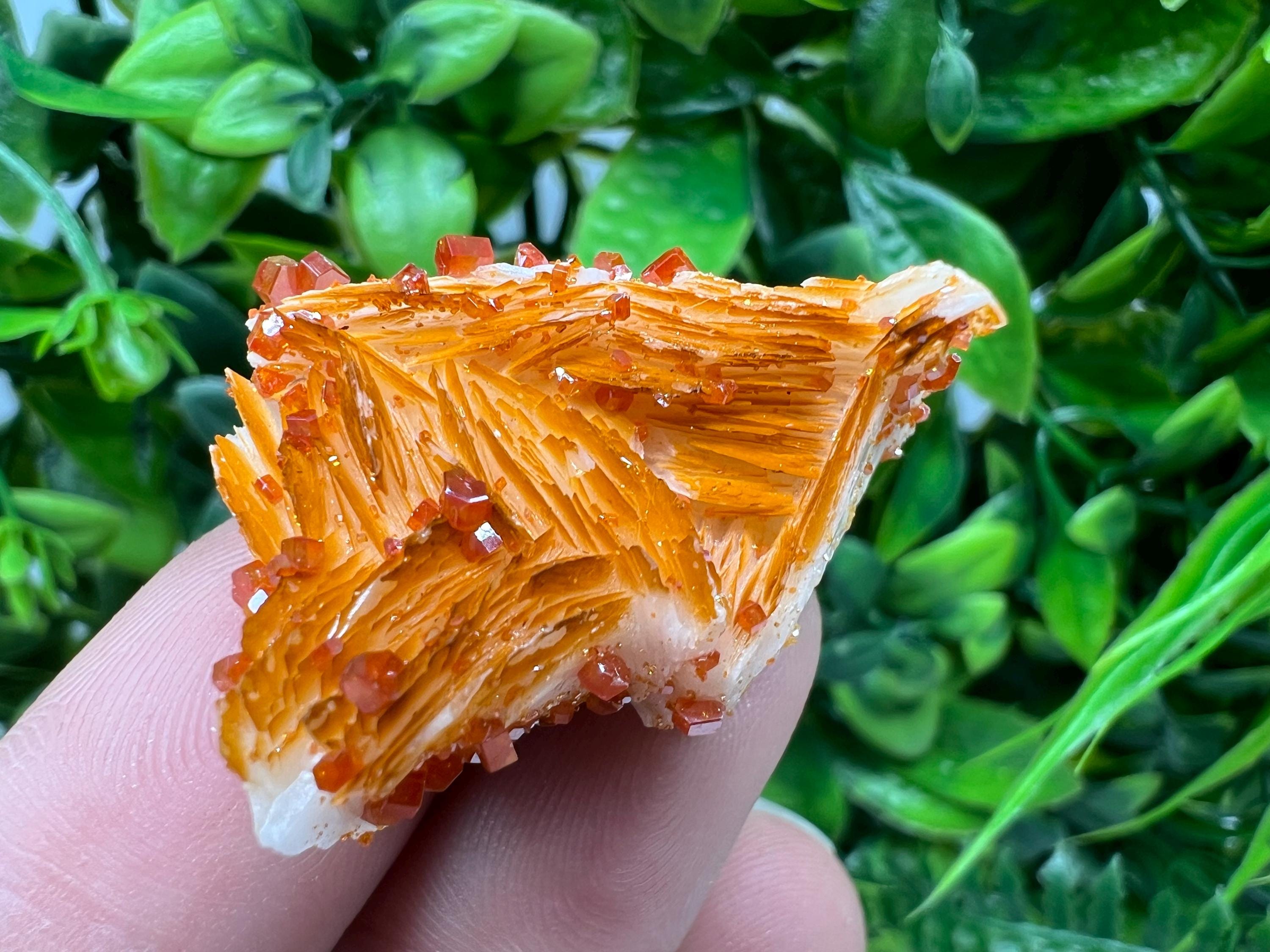 Red Vanadinite on Barite from Marocco,crystal minerals Speciment cluster Vanadinite crystal Vanadinite Geology Vanadinite cluster minerals