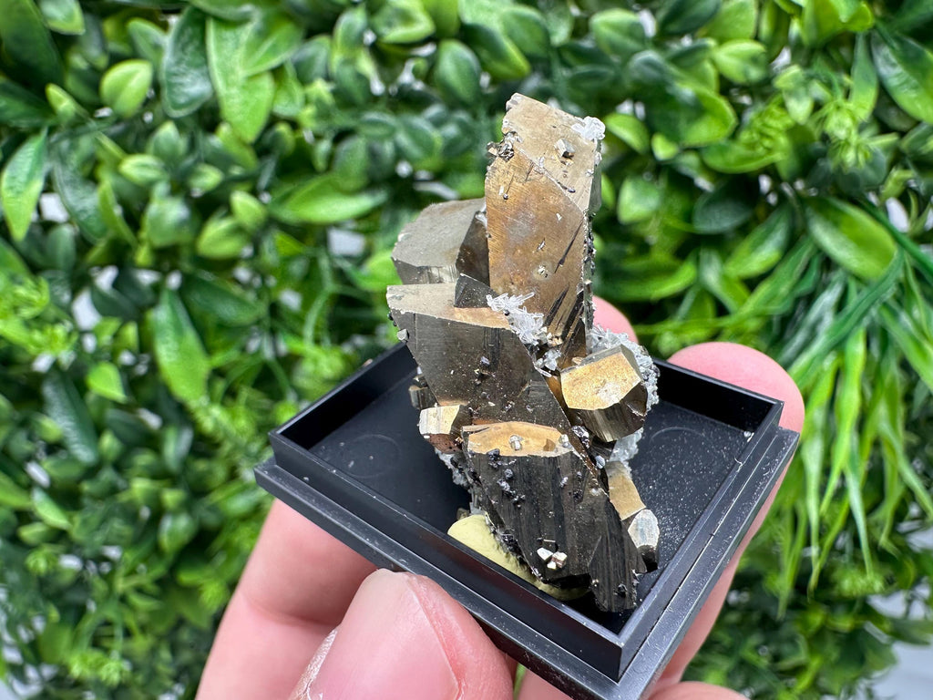 Rare Crystalline Pyrite Cluster - Borieva Mine, Bulgaria