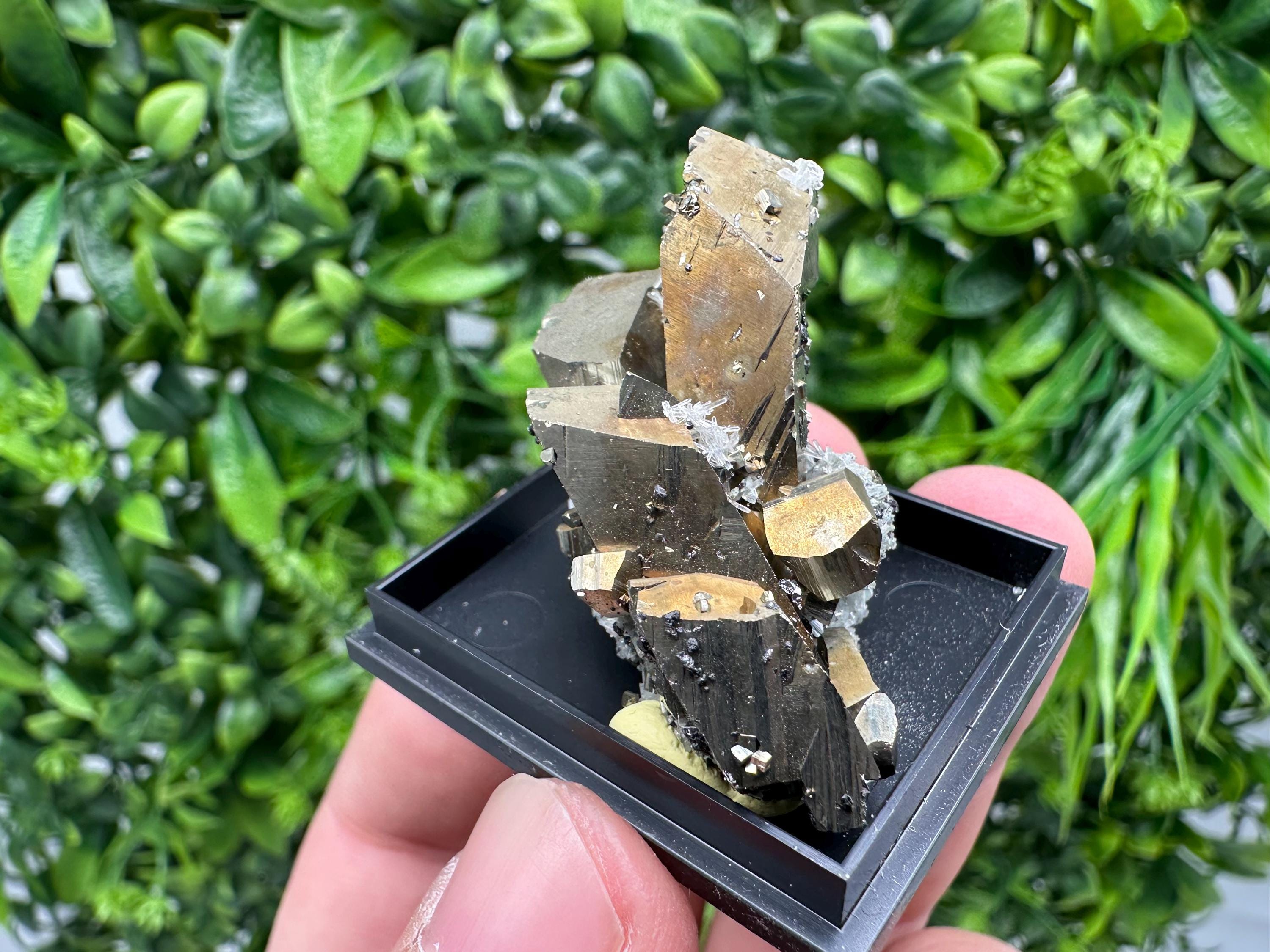 Rare Crystalline Pyrite Cluster - Borieva Mine, Bulgaria
