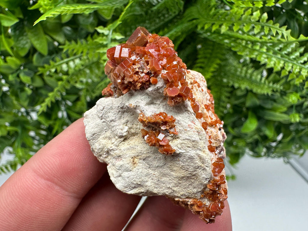Red Vanadinite on Barite, Moroccan Crystal Specimen