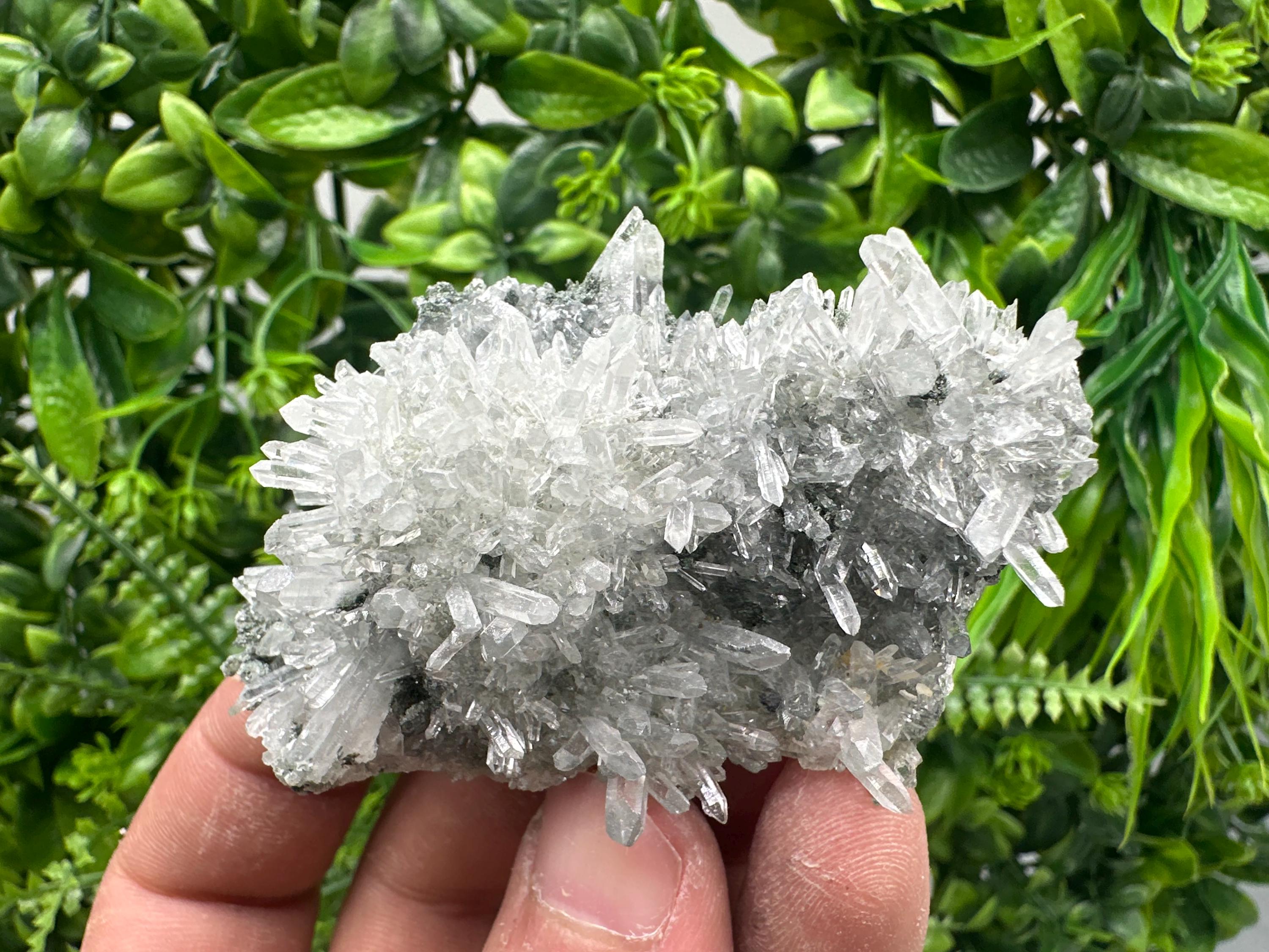 Transparent Quartz on Chlorite Matrix, Bulgaria Mineral Specimen