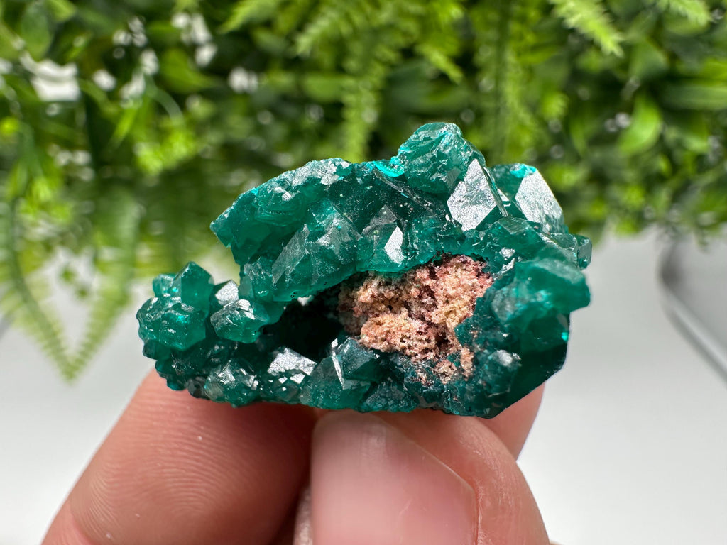 Green Dioptase Crystal Specimen, Sanda Hills Congo Mineral, Collector\'s Piece