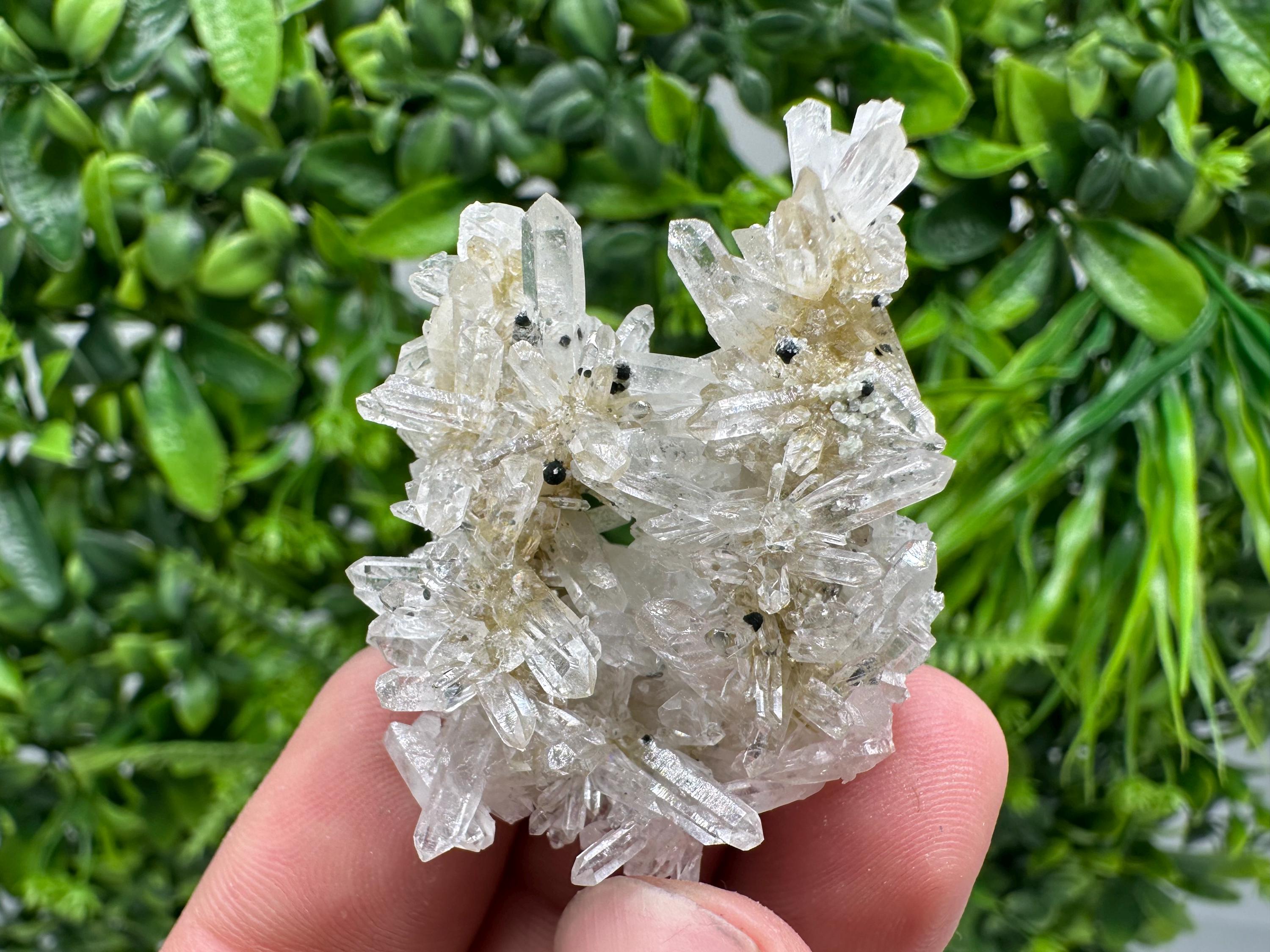 Transparent Quartz Crystal Specimen: Djurcovo Mine, Bulgaria