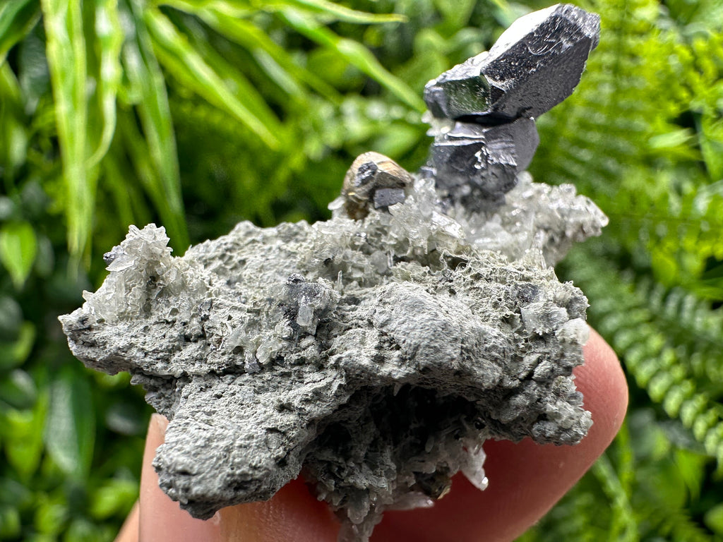 Spinel Law Galena on Quartz with Chalcopyrite: Borieva Mine Minerals