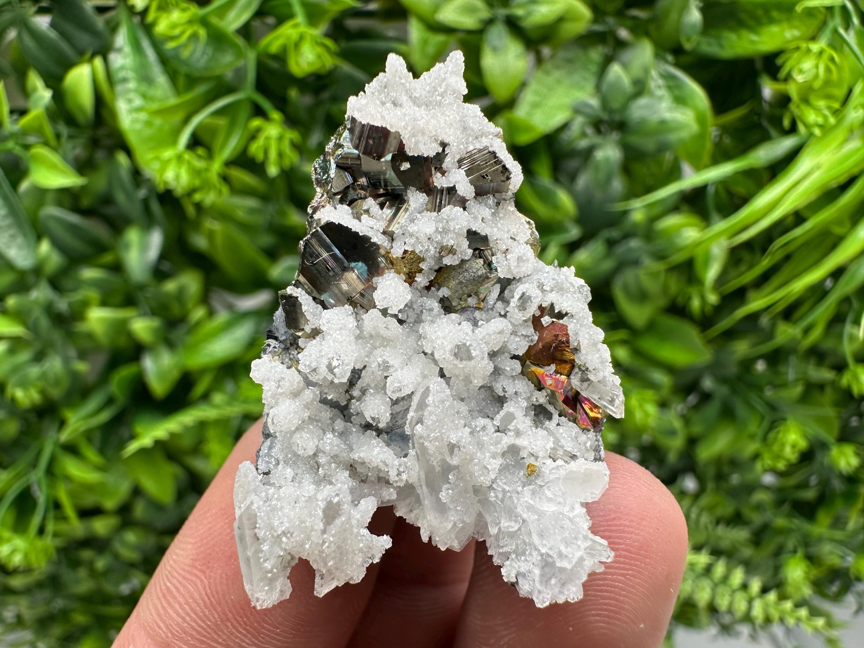 Galena Pyrite Sphalerite Quartz  Mineral Specimen, Krushev dol Mine