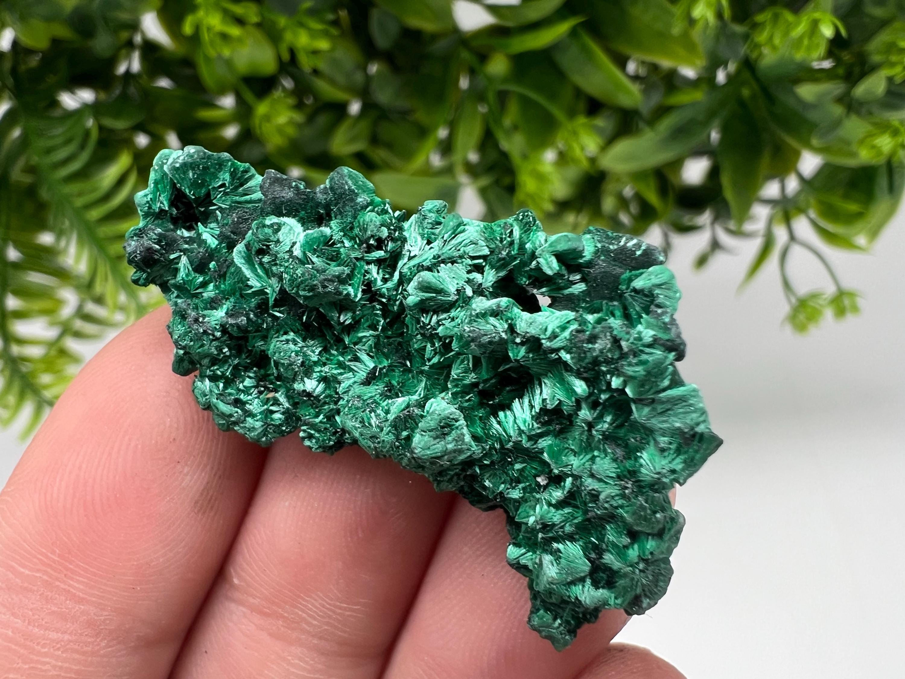 Malachite Crystal from Congo,Minerals,Crystals from Congo,Green Malachite, Malachite,Natural Malachite,Malachite Stone,Chakra, Specimens
