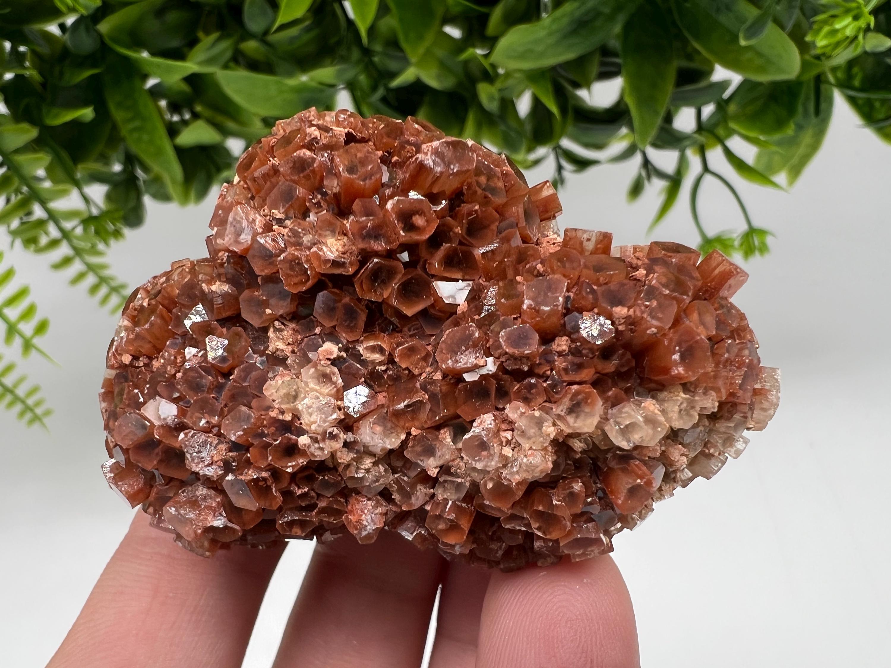 Large Aragonite Sputnik Cluster: Raw Moroccan Crystal Stone