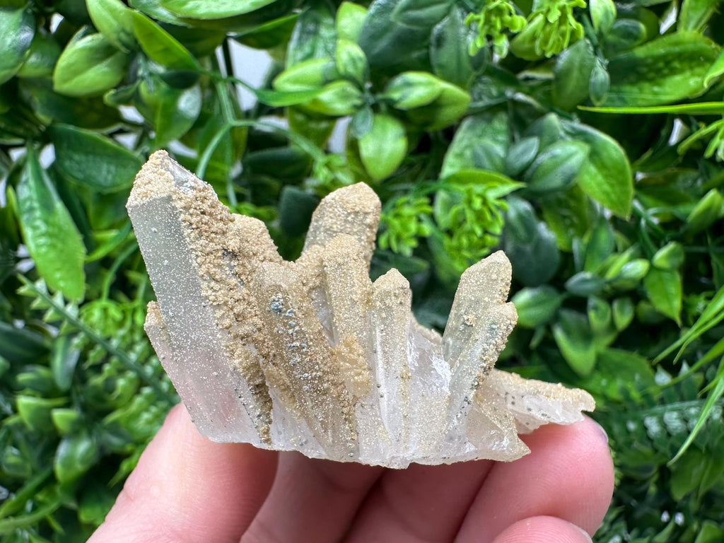 Quartz Rhodochrosite Cluster, Bulgaria Mineral Specimen