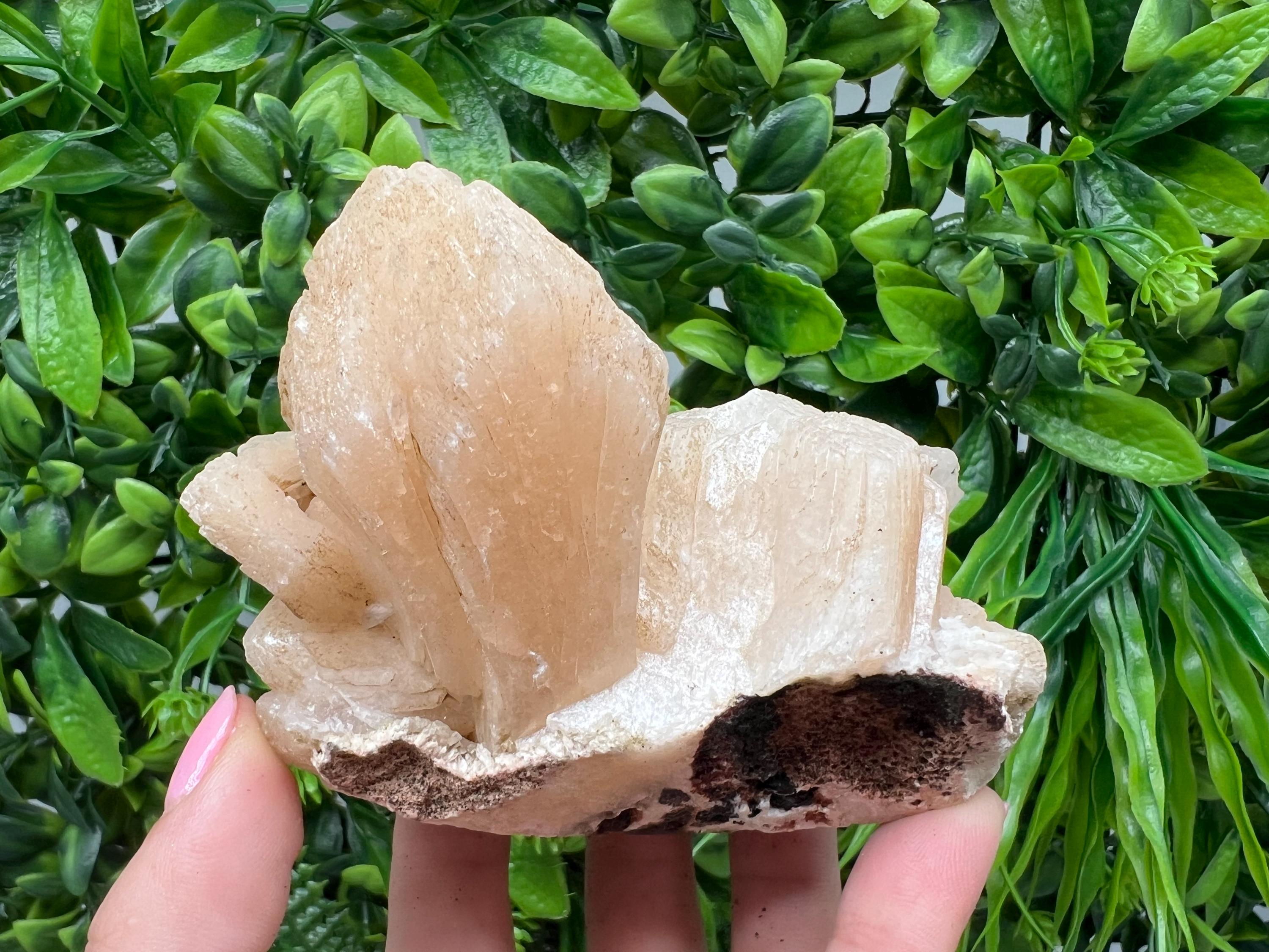 Apophyllite Stilbite Chalcedony Specimen: India Minerals Crystal, 360 grams