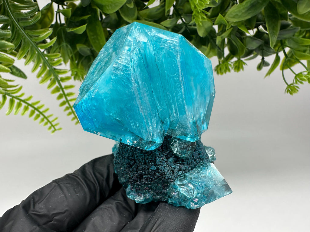 Exceptional Turquoise ALUNITE Aqua Crystal on Matrix UV Active, lab minerals