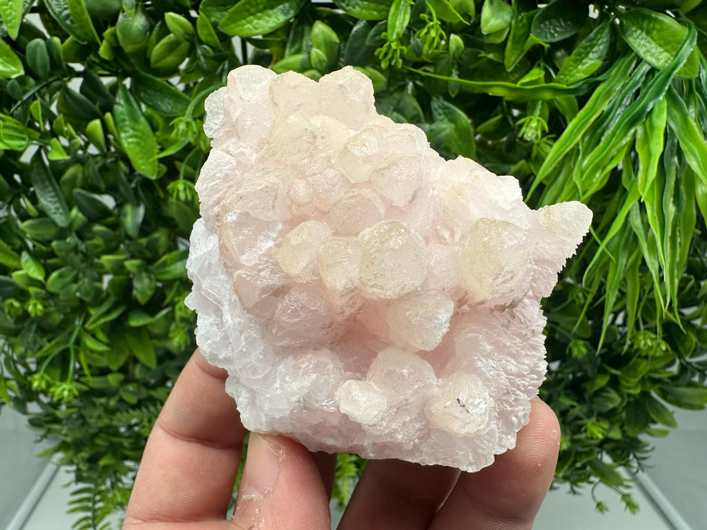 Mangano Calcite with Galena, Borieva Mine, Bulgaria